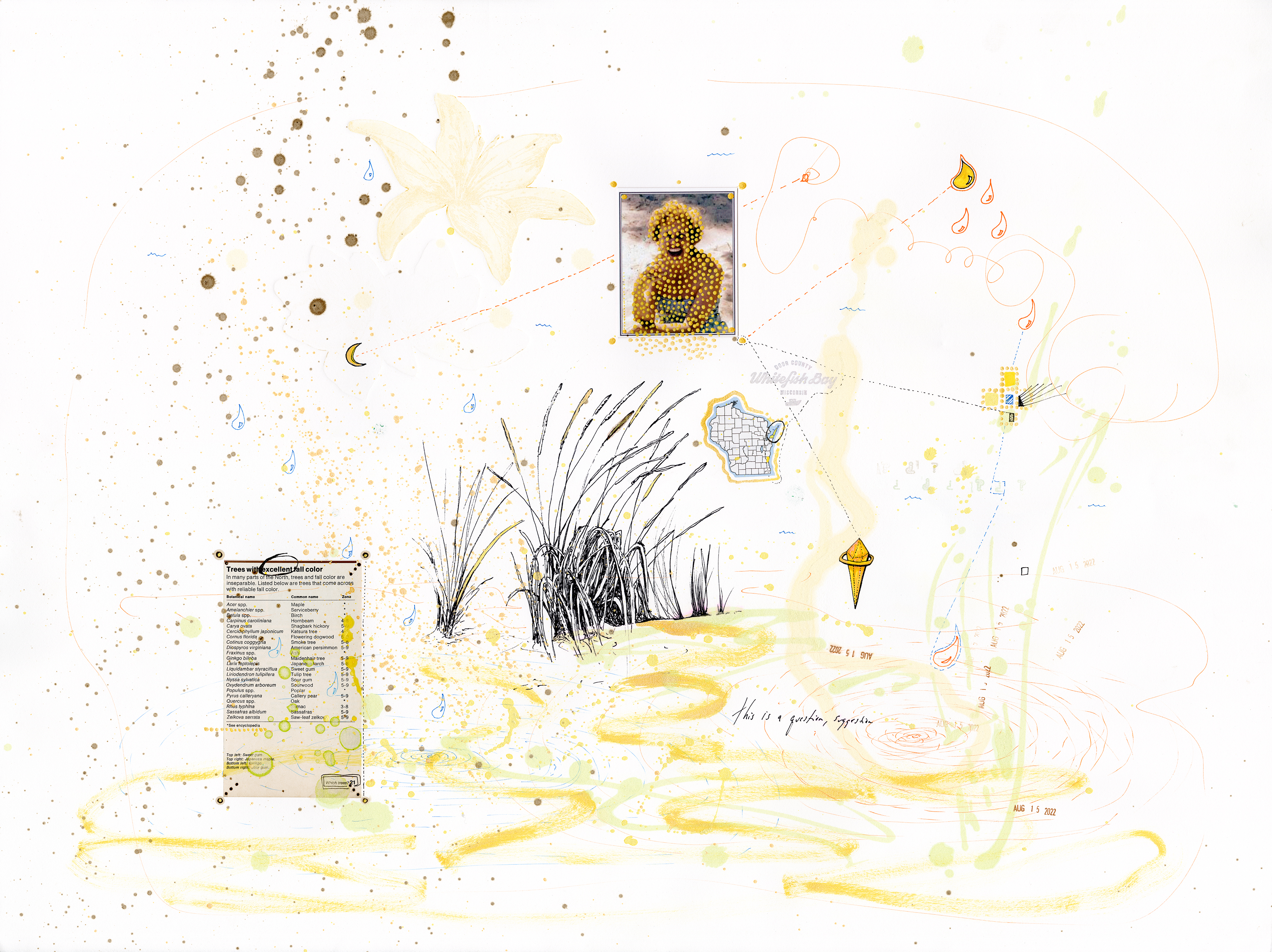 Drawing 2/56 from 56 days at the Dome House 22.5 x 30 inches, ink, Chine-collé, etching and stamps on Arches 88 paper- SOLD