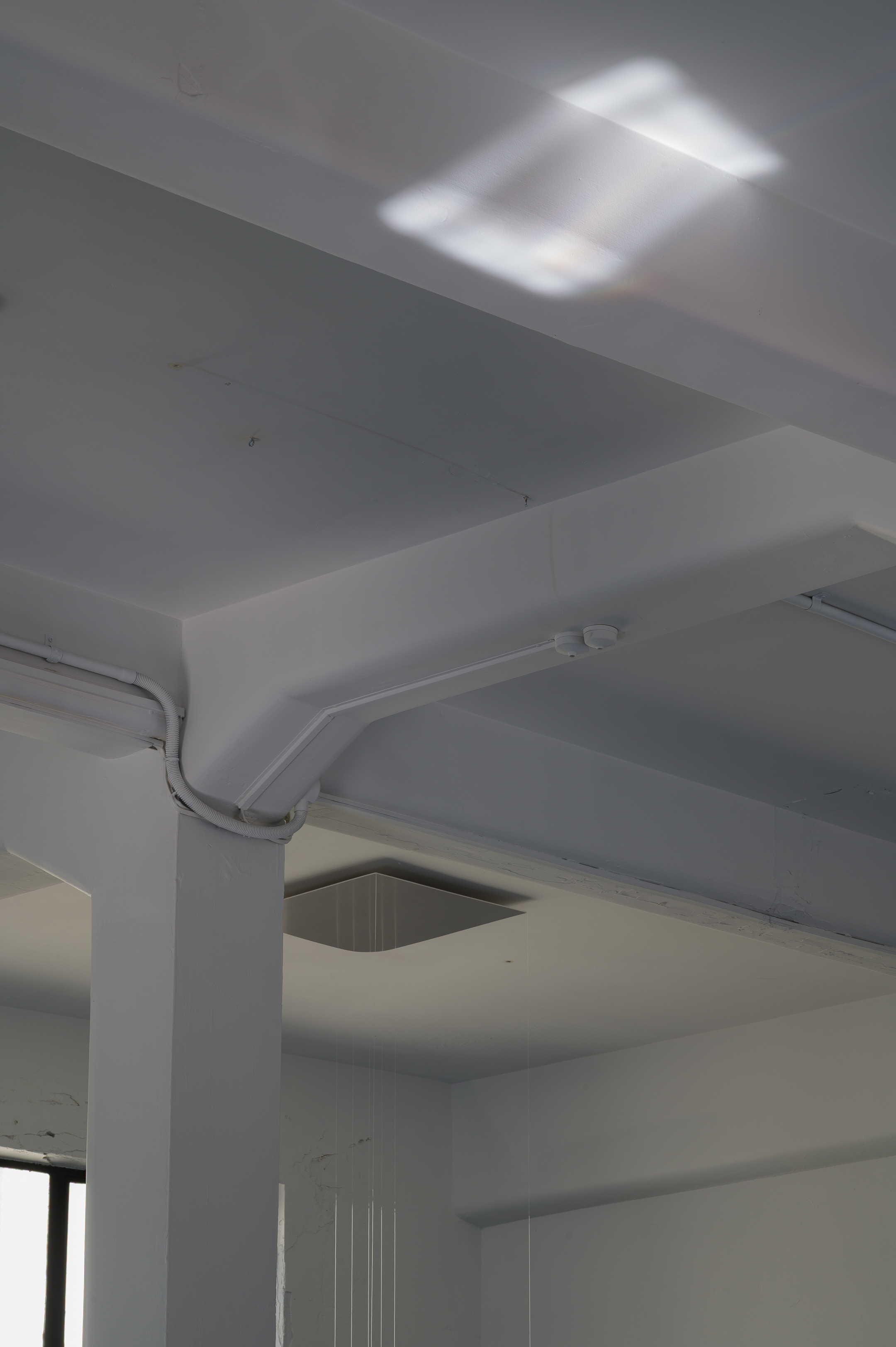 Outset, installation view, Level 4, 99 Willis Street, 4:24PM, 11 November 2025