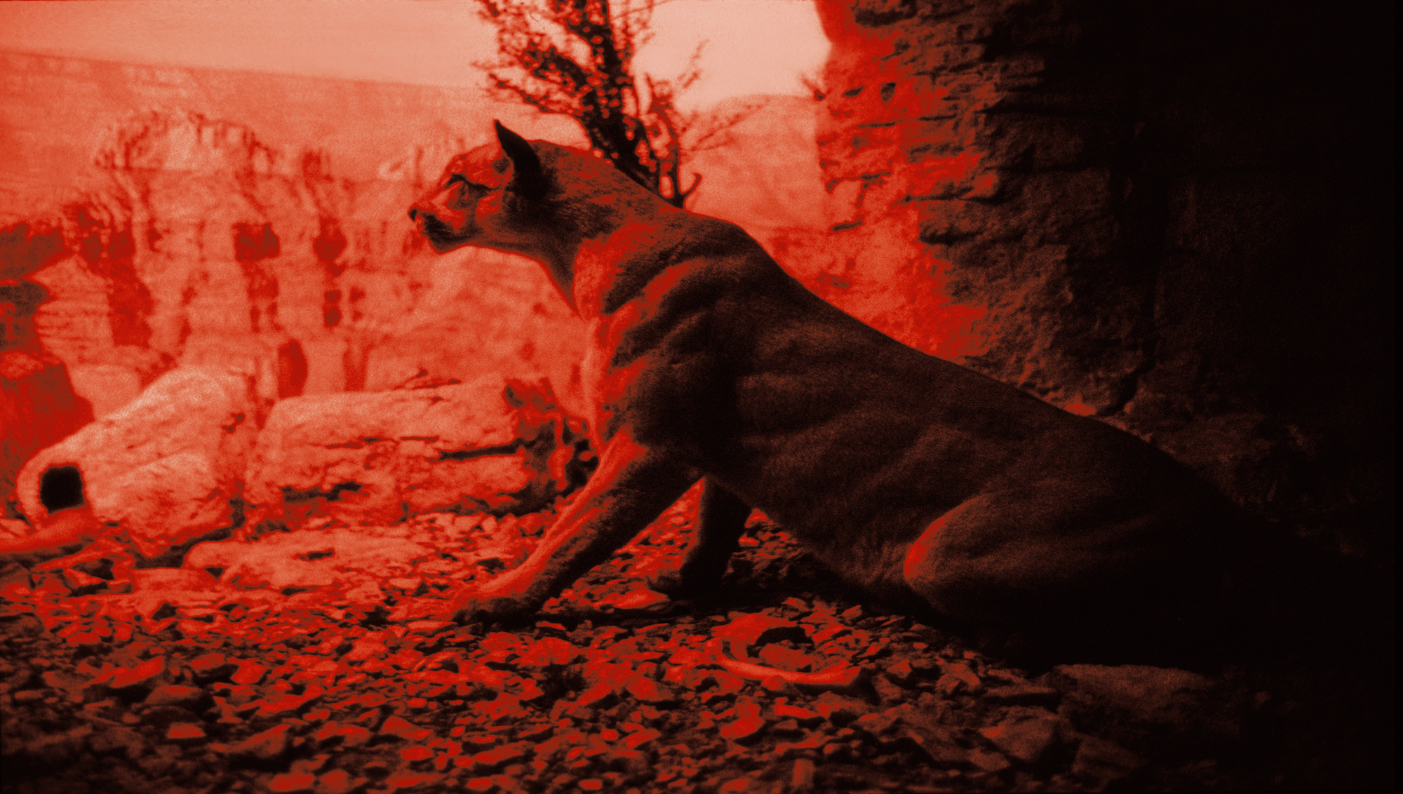 "AM MU NA HI / 19"  Giclée fine art print on Hahnemühle Watercolour paper / Variable dimensions / Edition of 6 