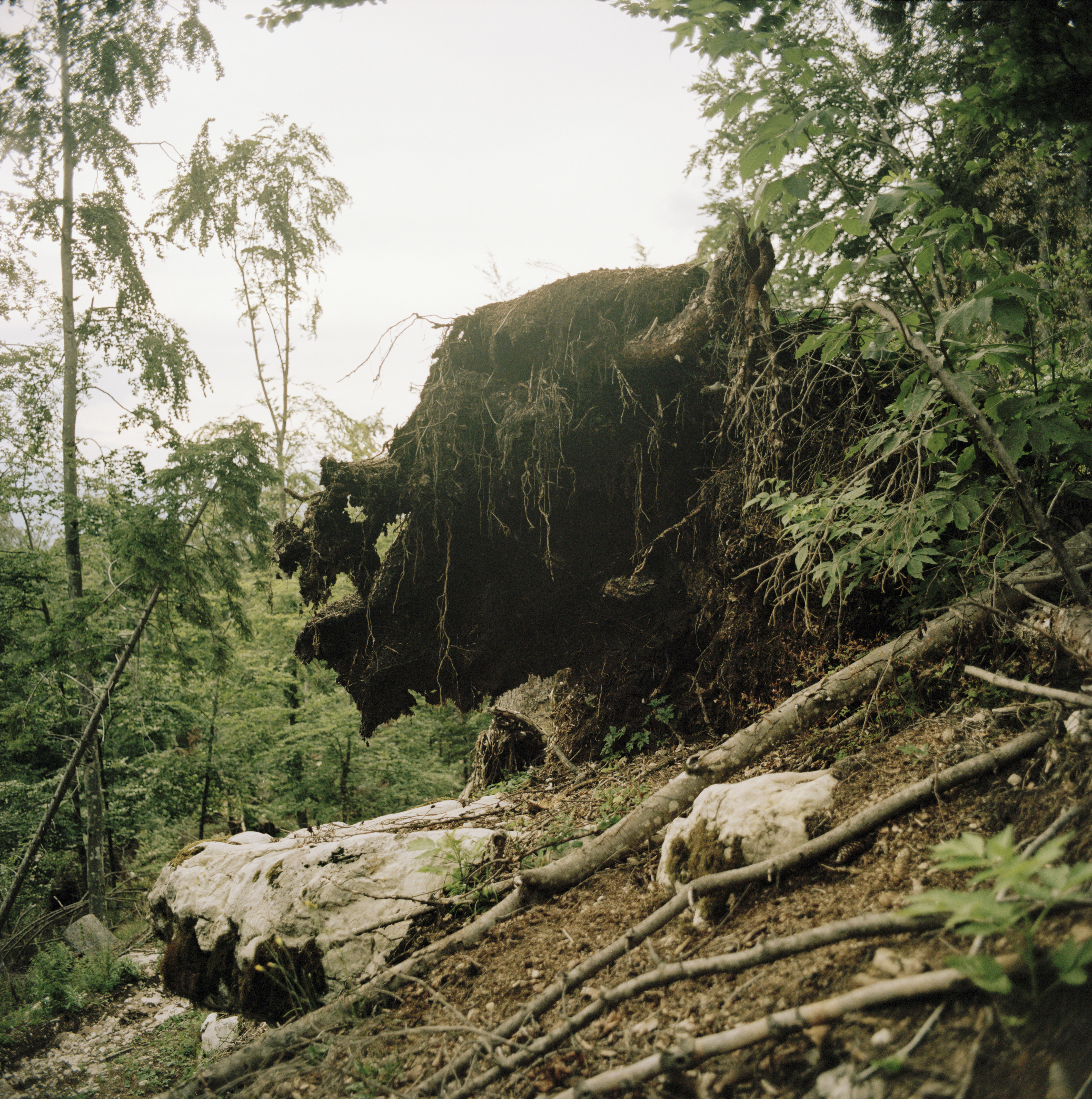 Serrada (Italy) 2020