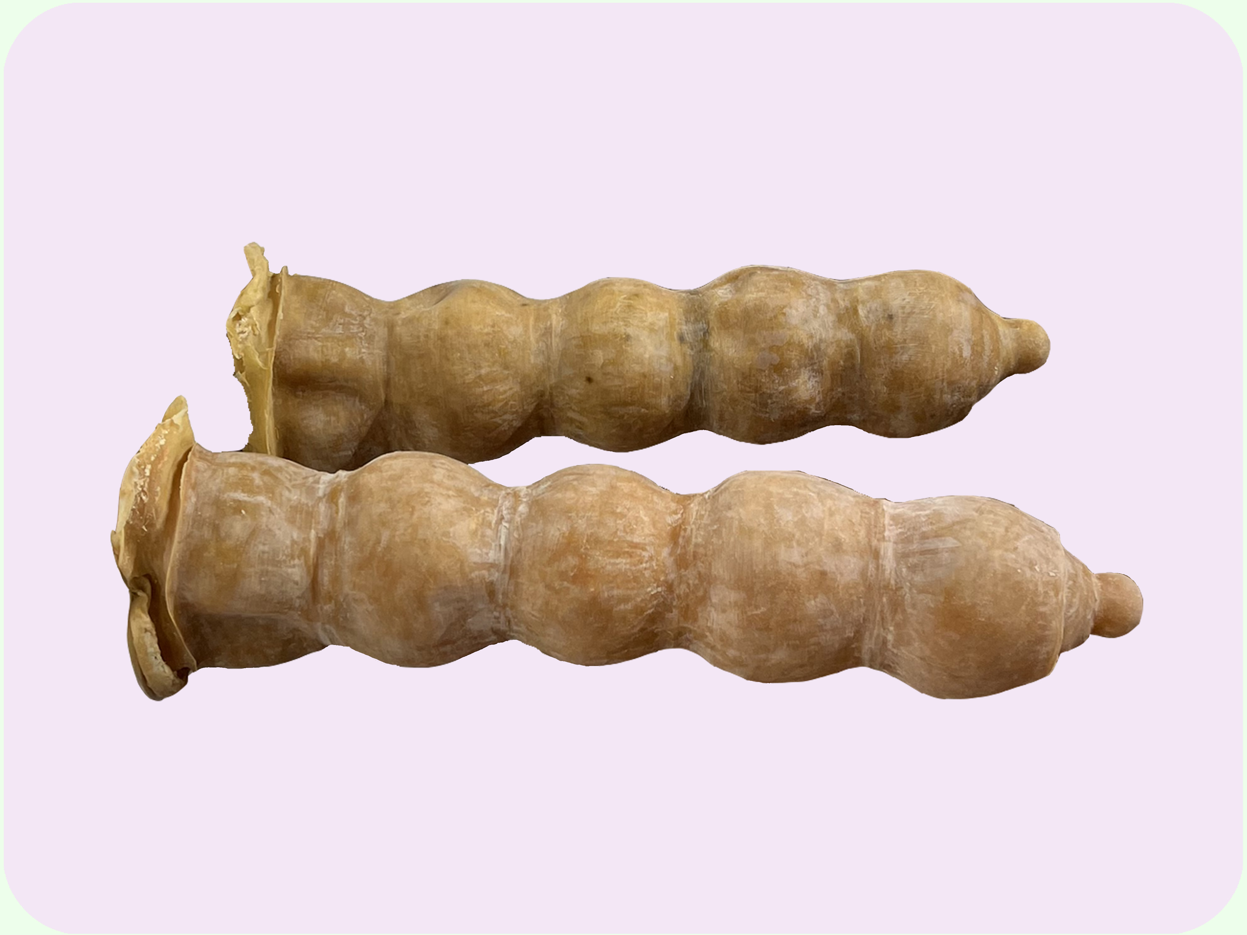 boob tube  (15.2 x 56.7 x 17.5cm)  [latex]