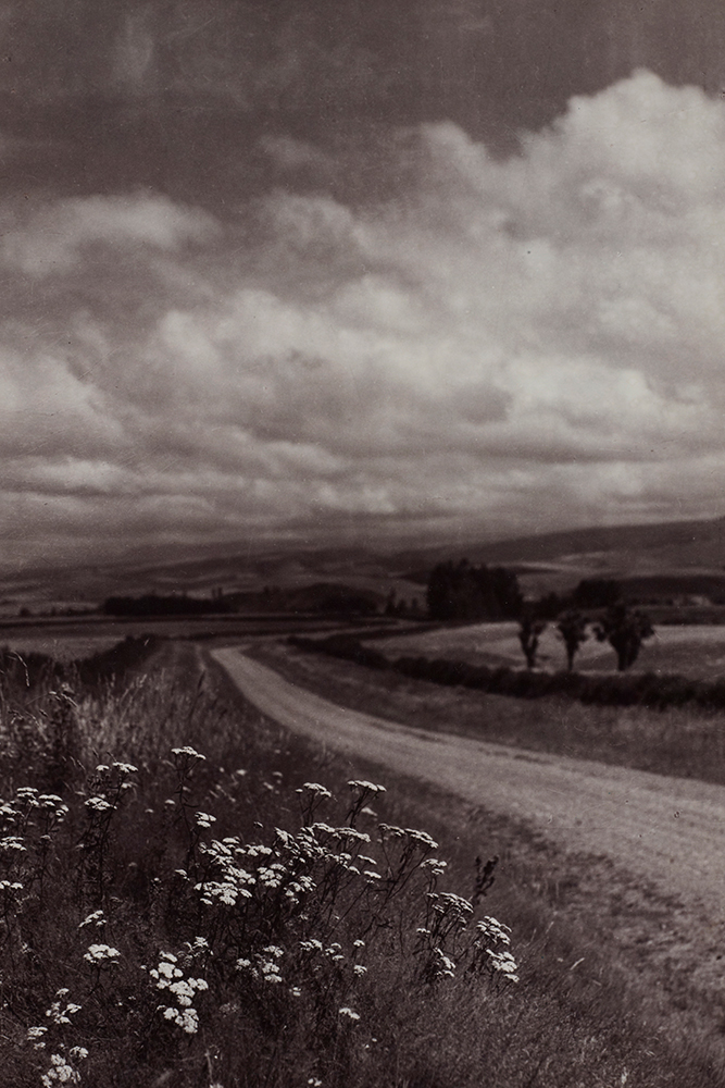 original image by Thelma Kent