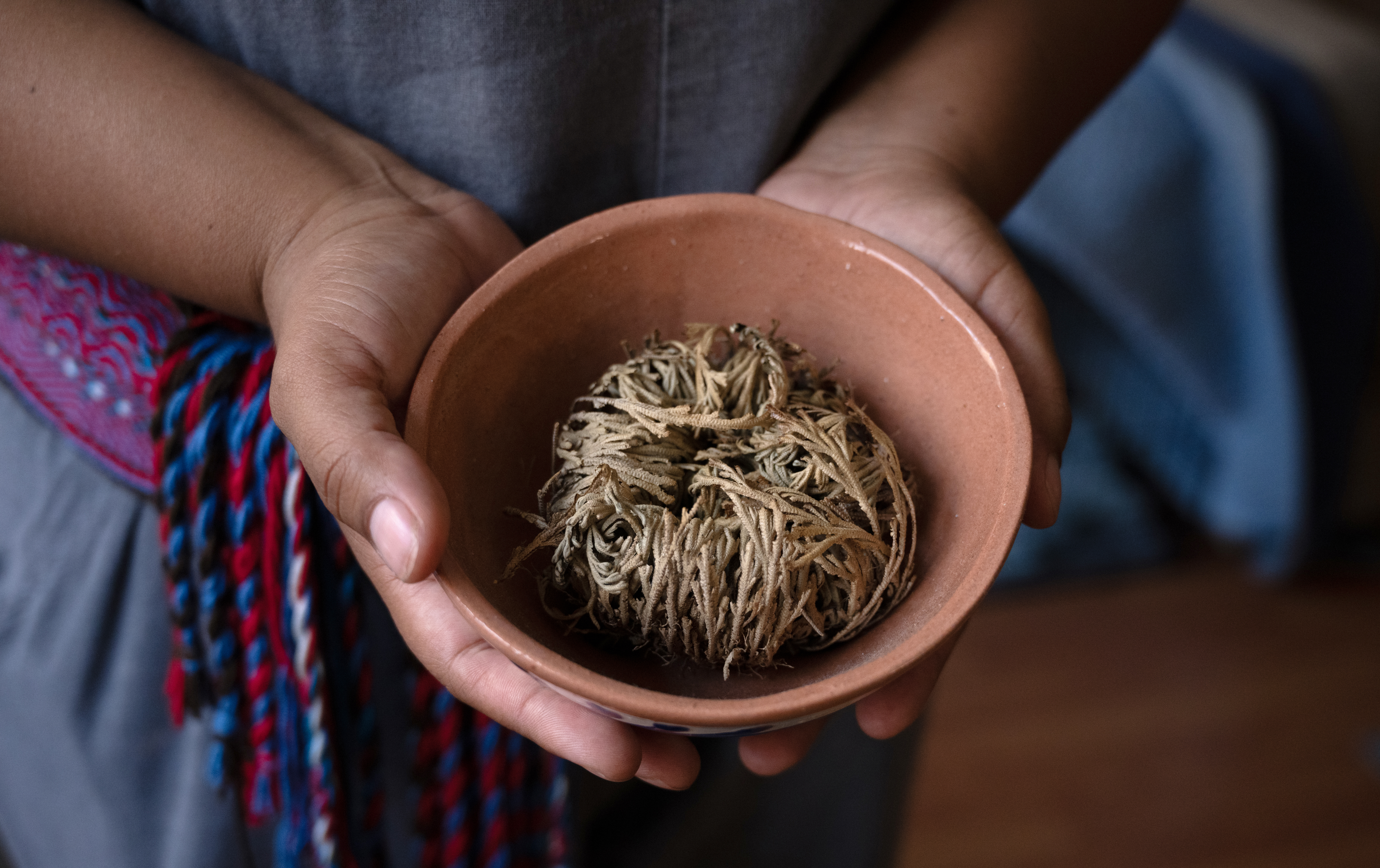 Forging Journal essay "Reclaiming Birth Sovereignty"