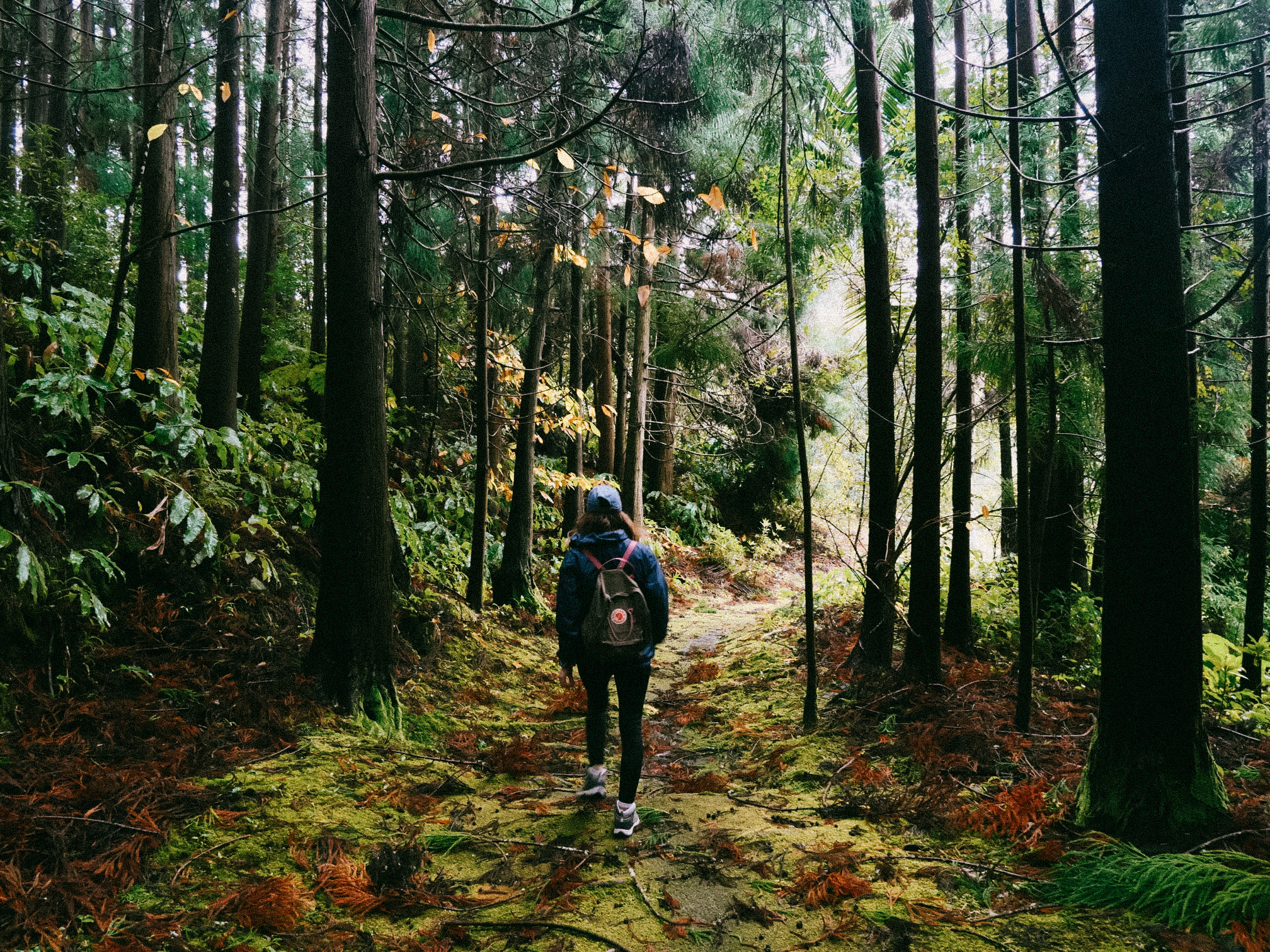 Visiting Azores in winter: Sao Miguel December travel guide