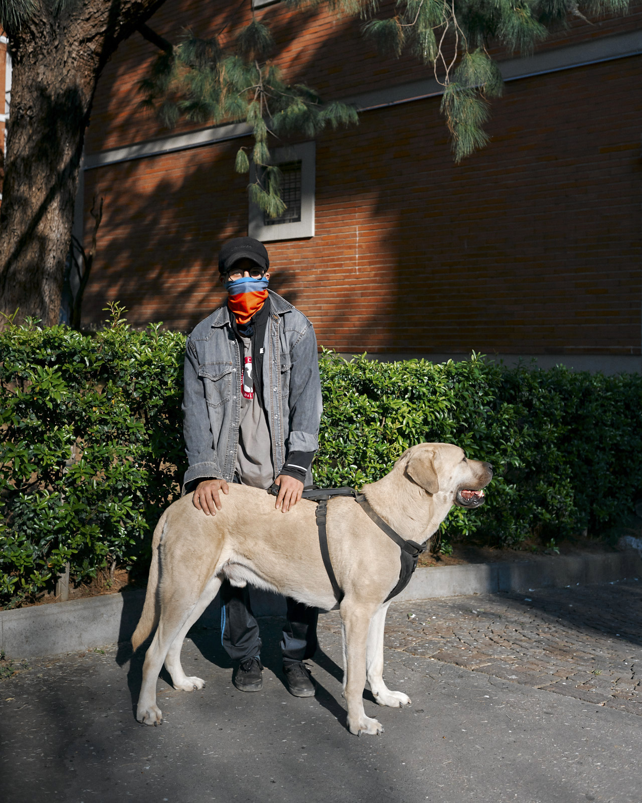 Girl With Dog, Milano, April 2020