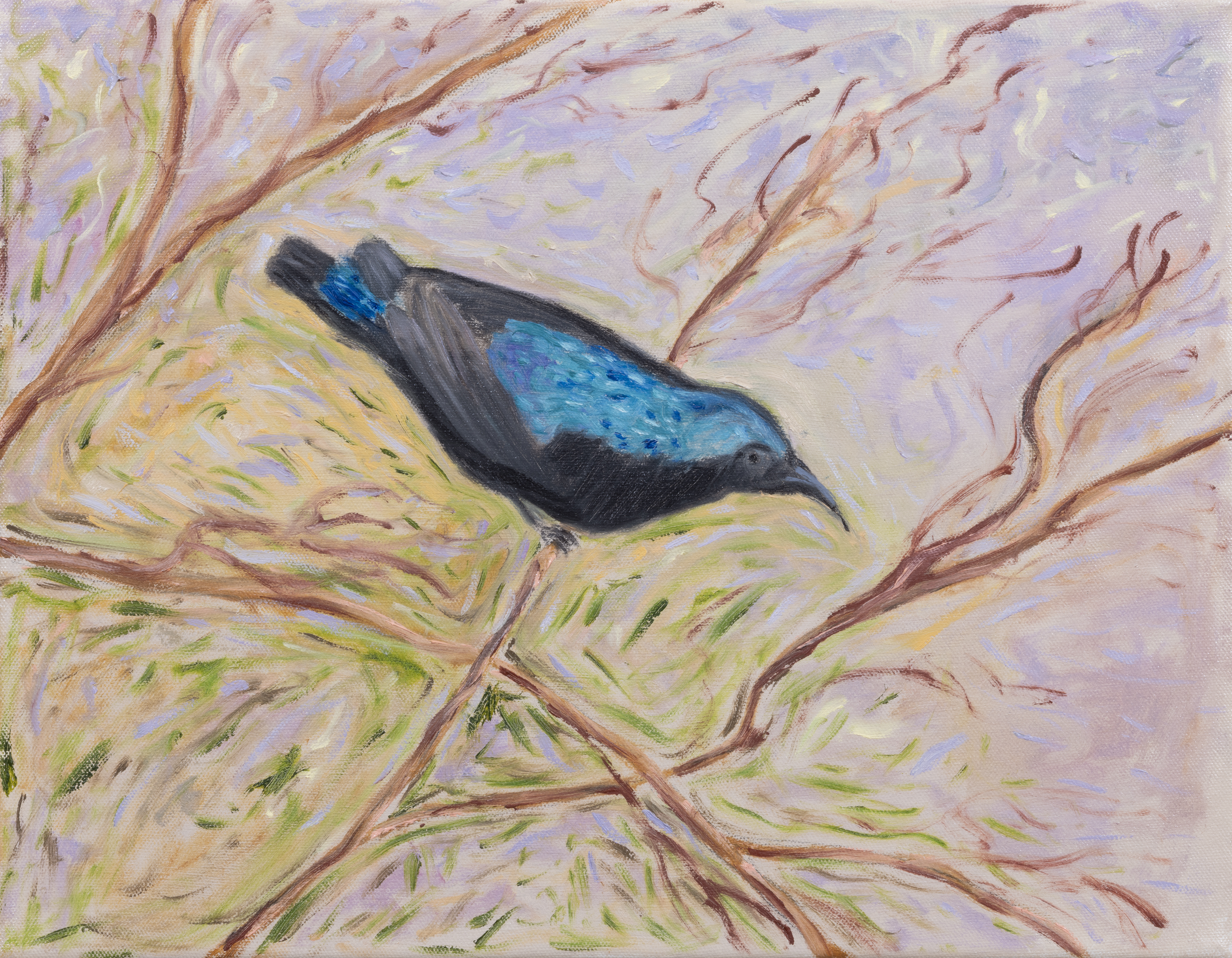 Summer mornings, Oil on canvas, 18"x14", 2025