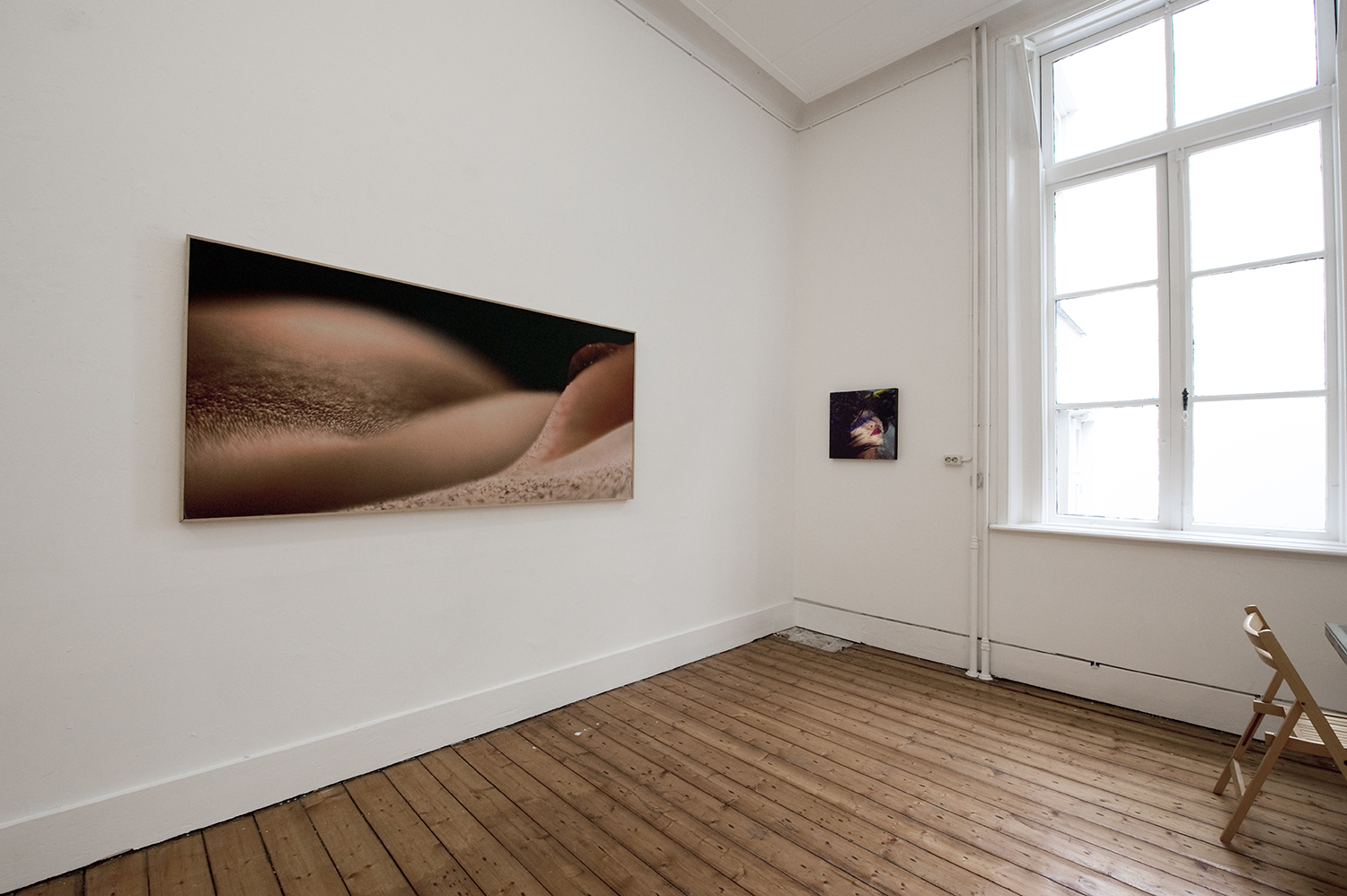 Solo Flatland Gallery Utrecht 2011