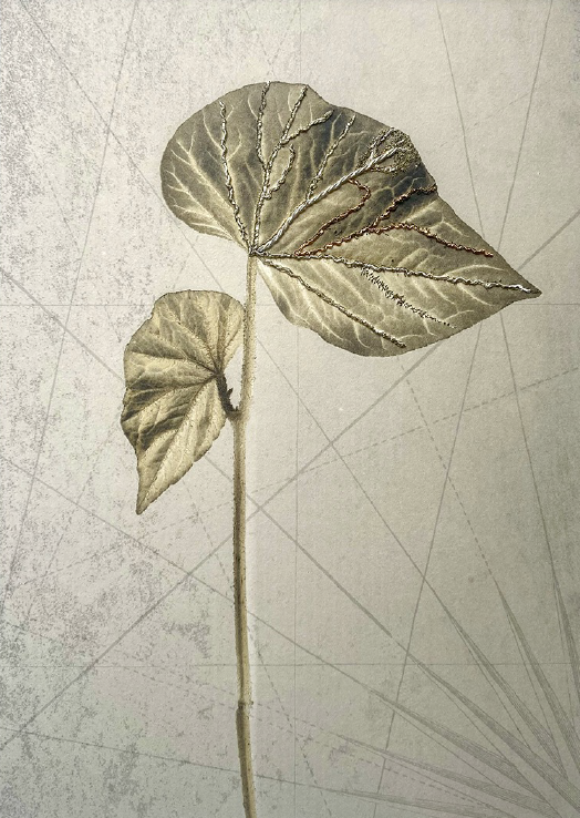 © Sophie ZÉNONThurstonii2025