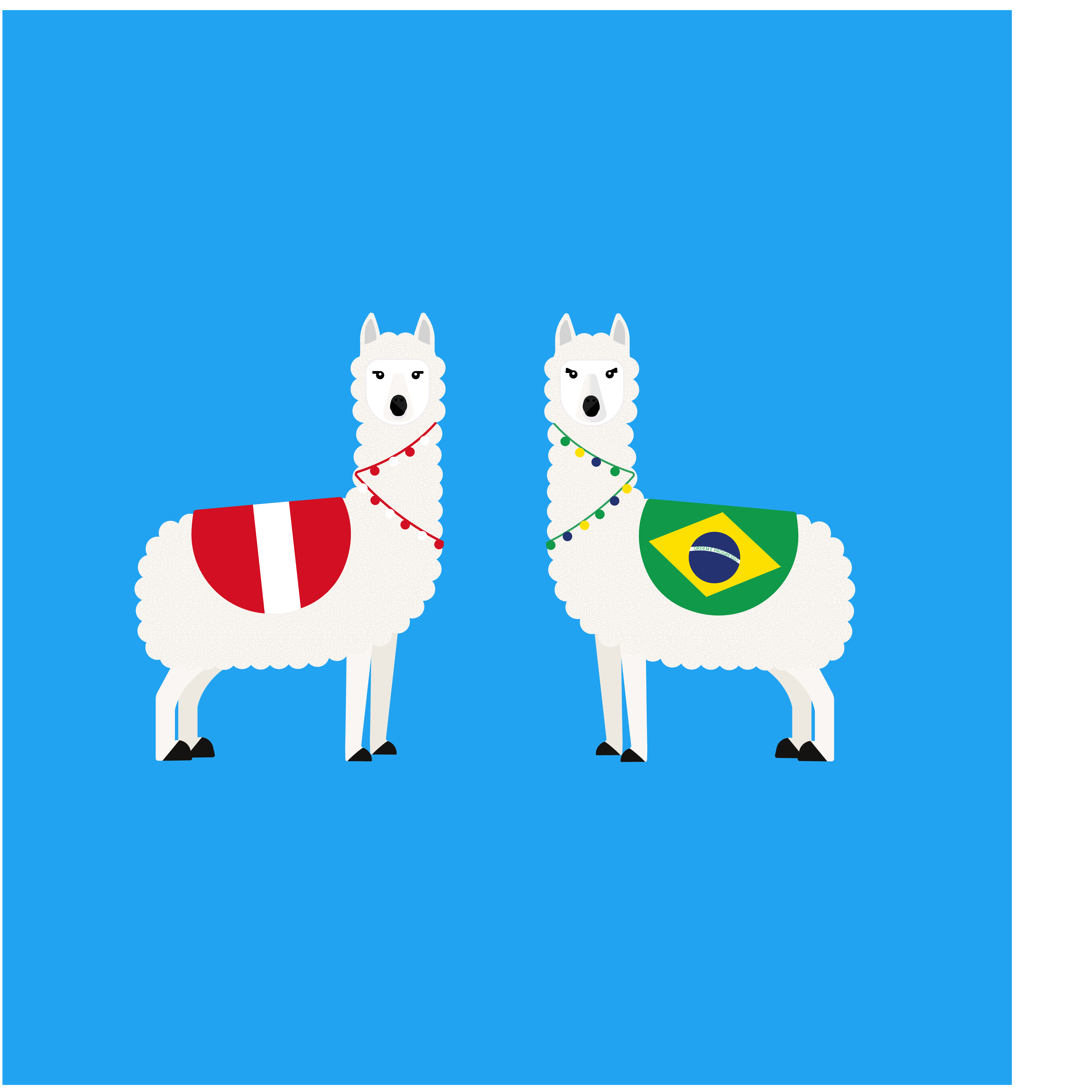 Custom Llama print for a friend's wedding. A Peruvian Groom and Brazilian Bride. More Llamas coming soon...