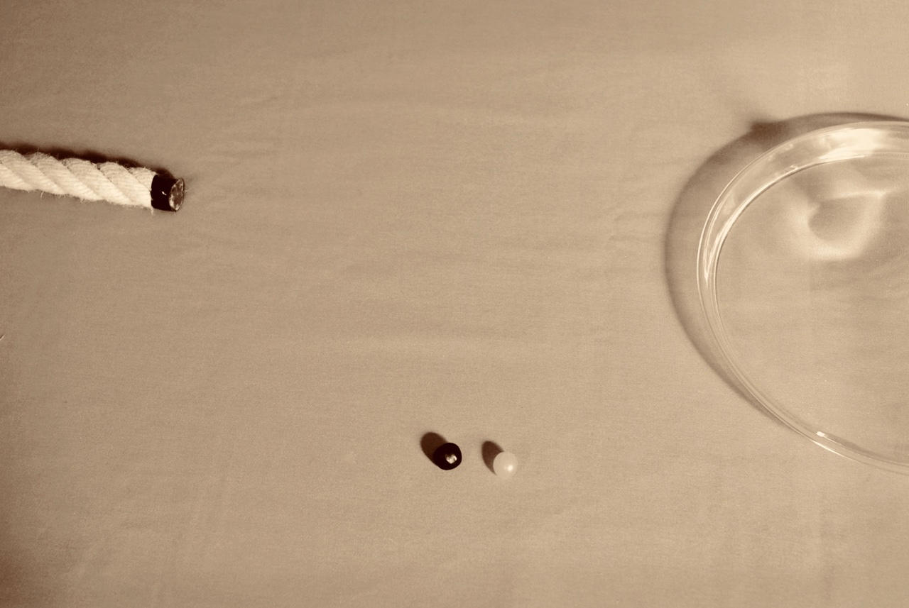 Sardonic Shapes (2013)