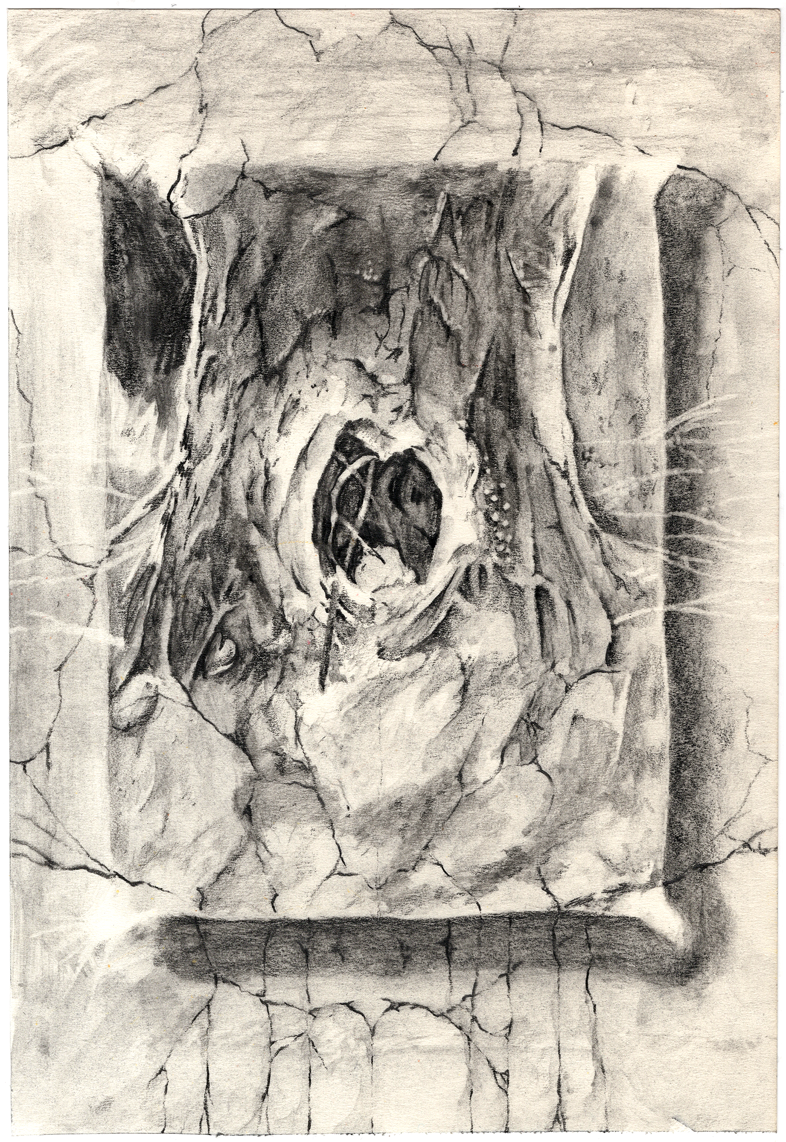 Elf Hollow, graphite on paper, 7.75x11.25” 2020