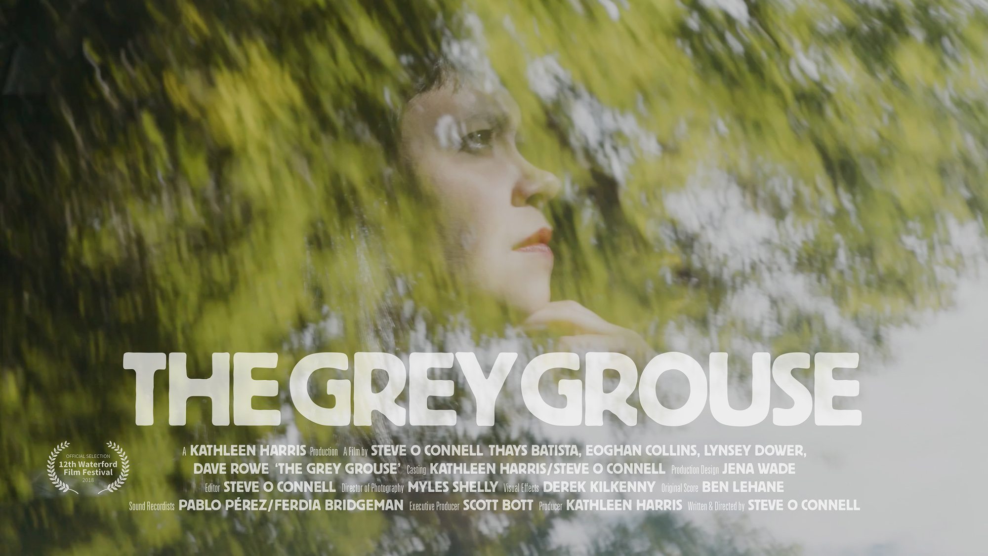 A short film about a suicidal bird, 2018