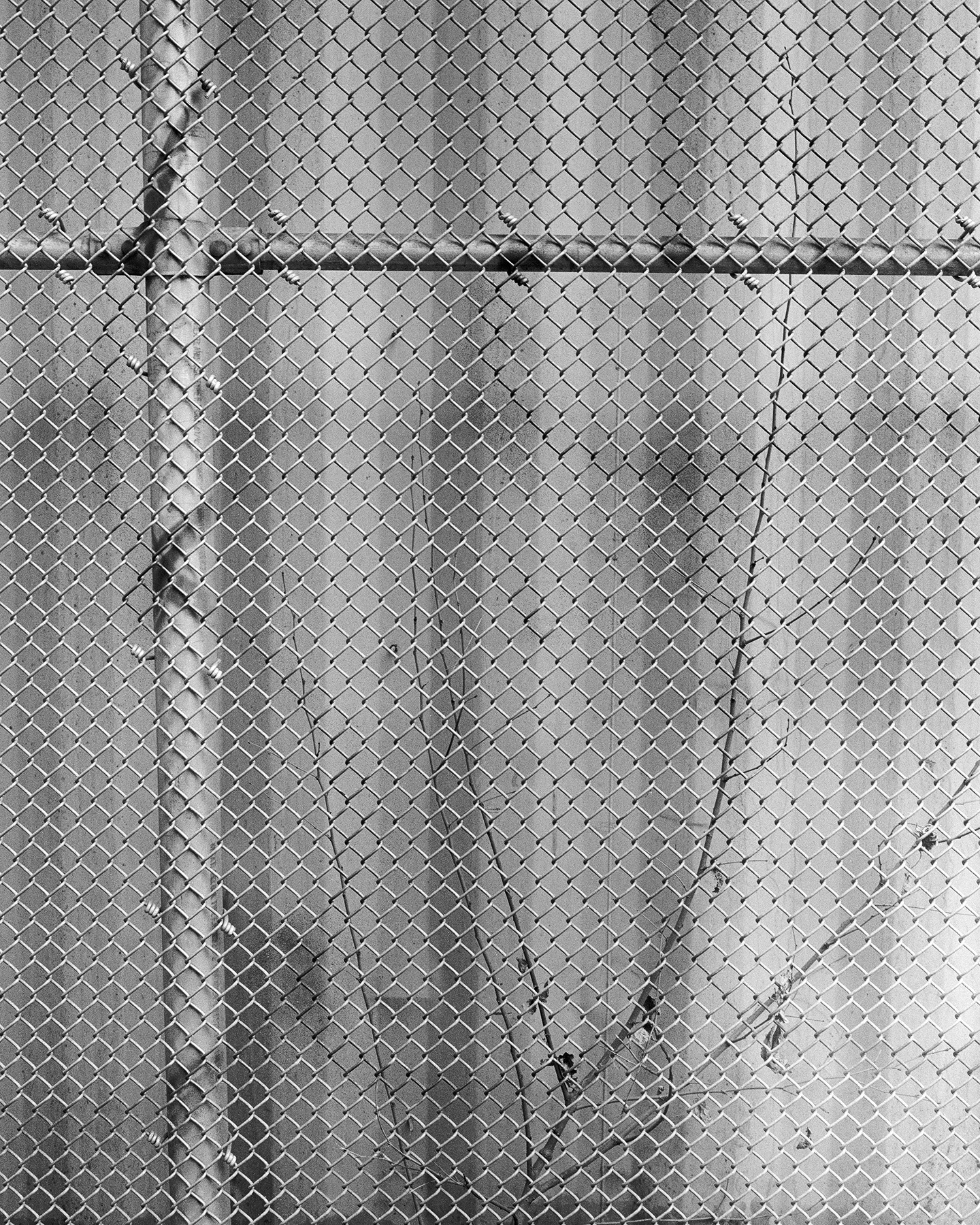 Gowanus Shipping Container (Brooklyn, NY), 2024 / Archival pigment print, steel / 24 x 19.2 in.