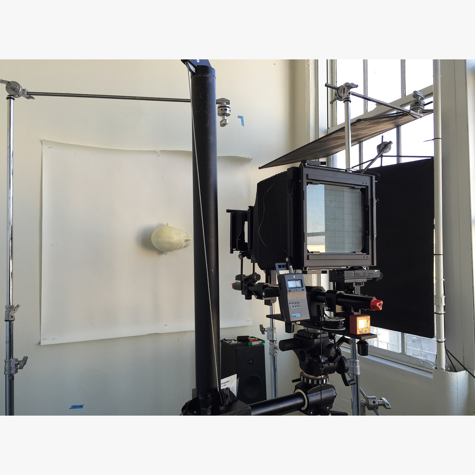 5/5In studio, SF, 2016