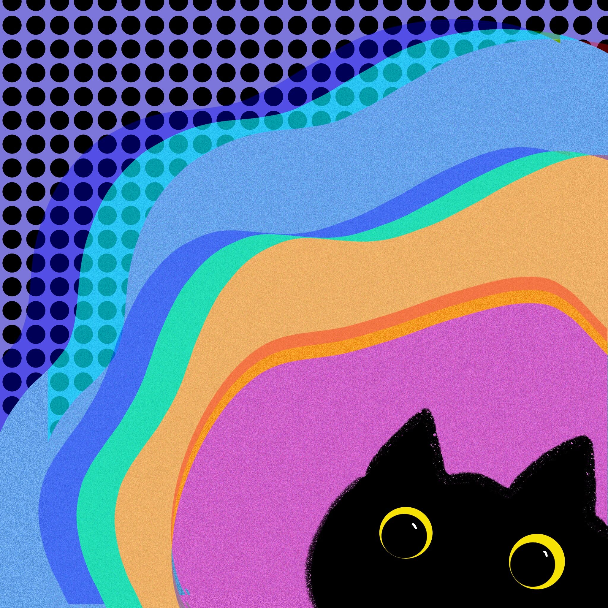 The Benefits of having a black cat-Black looks great with any colors!