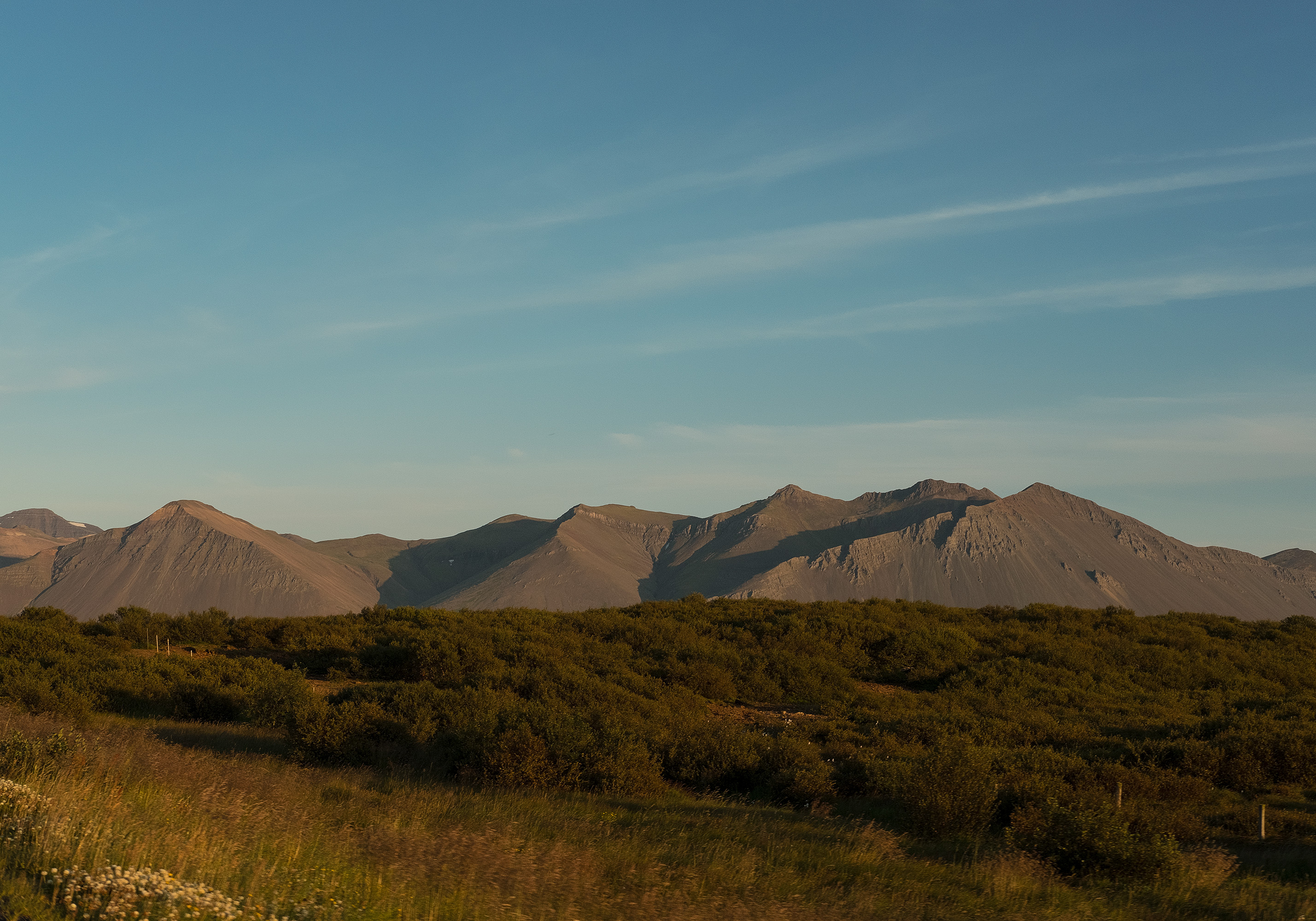 Domingo Nardulli TIFF