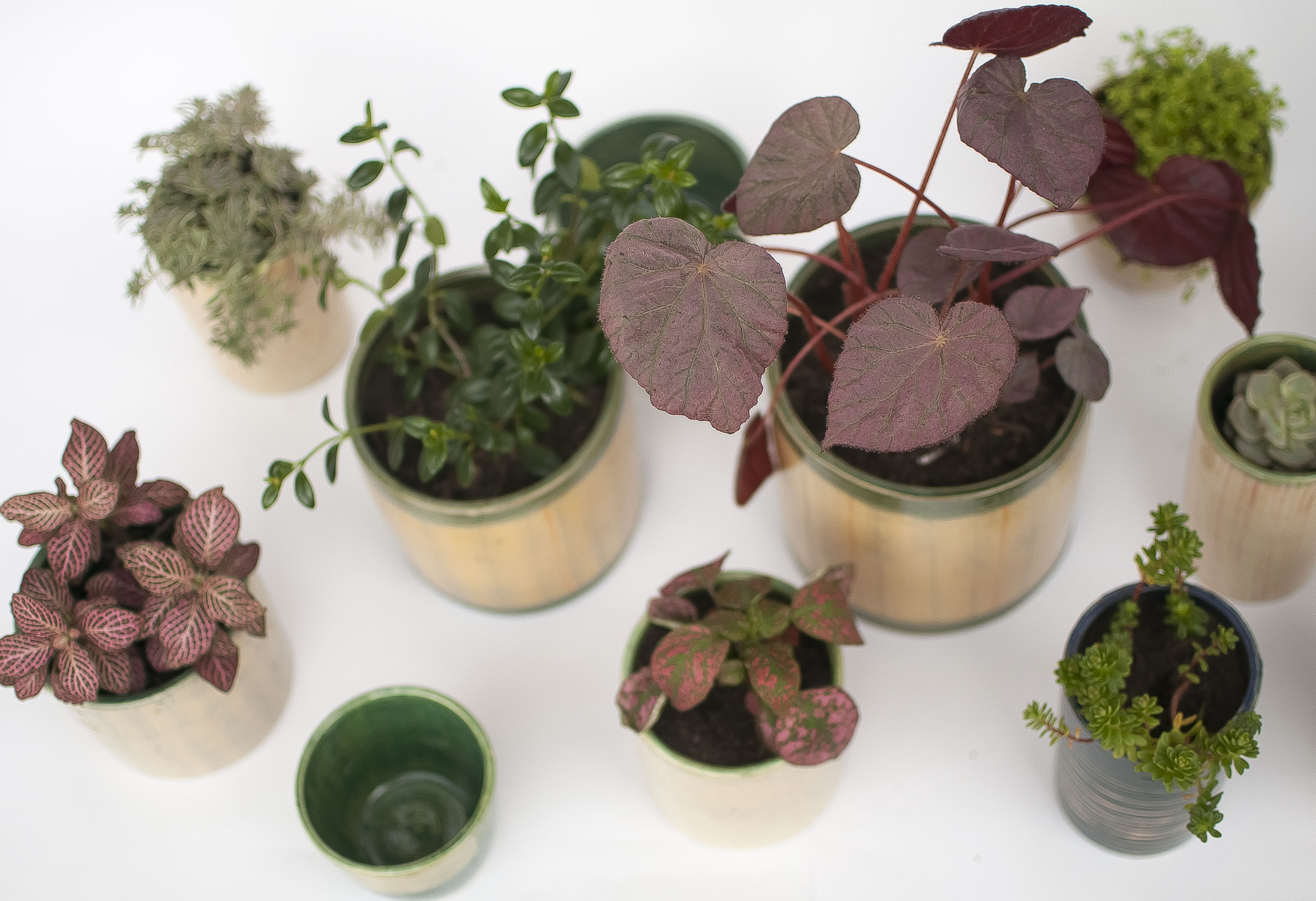 Plant Pots. Low temperature ceramics. Thrown in electric wheel and decorated with color crayons. Bogot&aacute; 2019