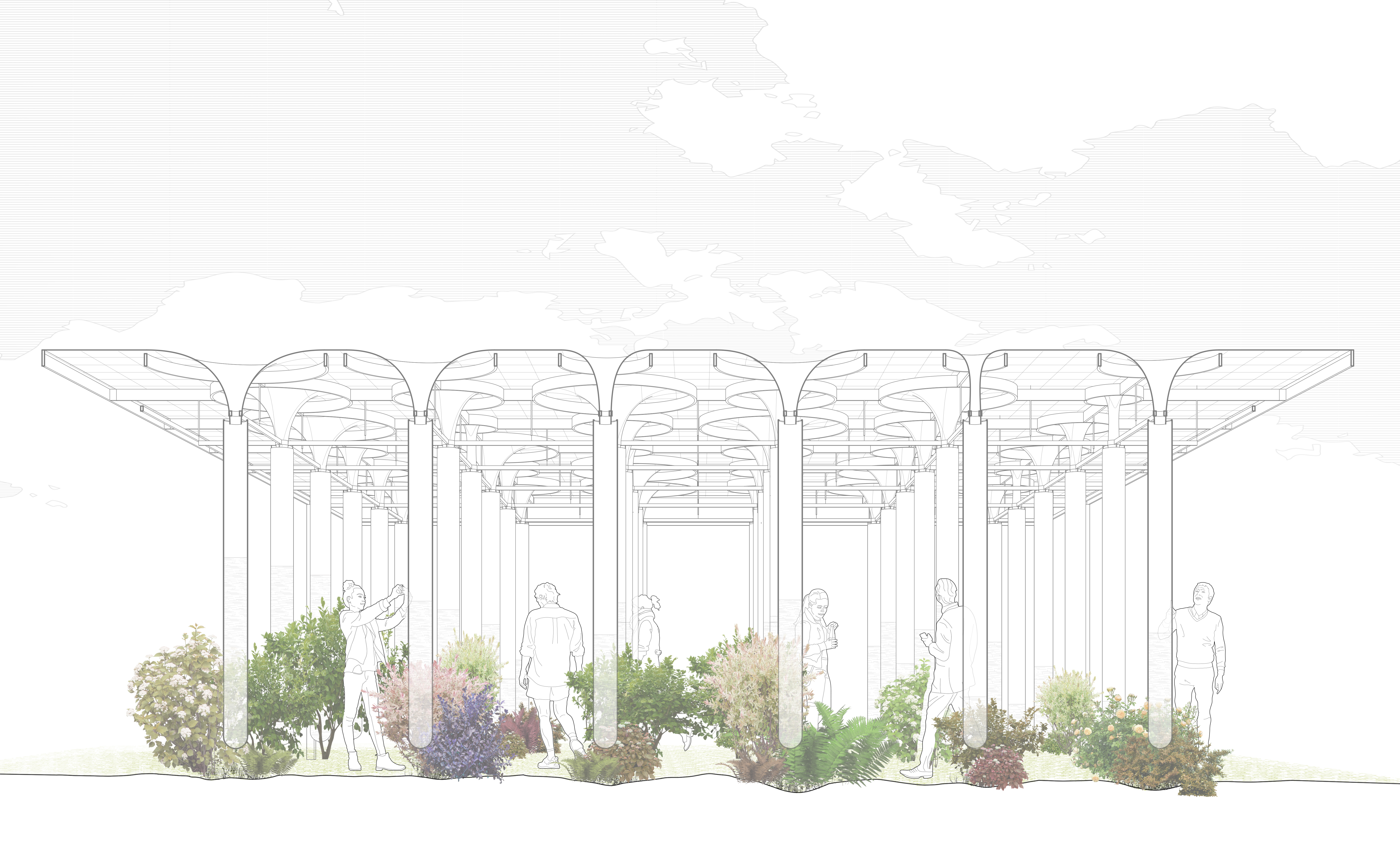 Section Drawing