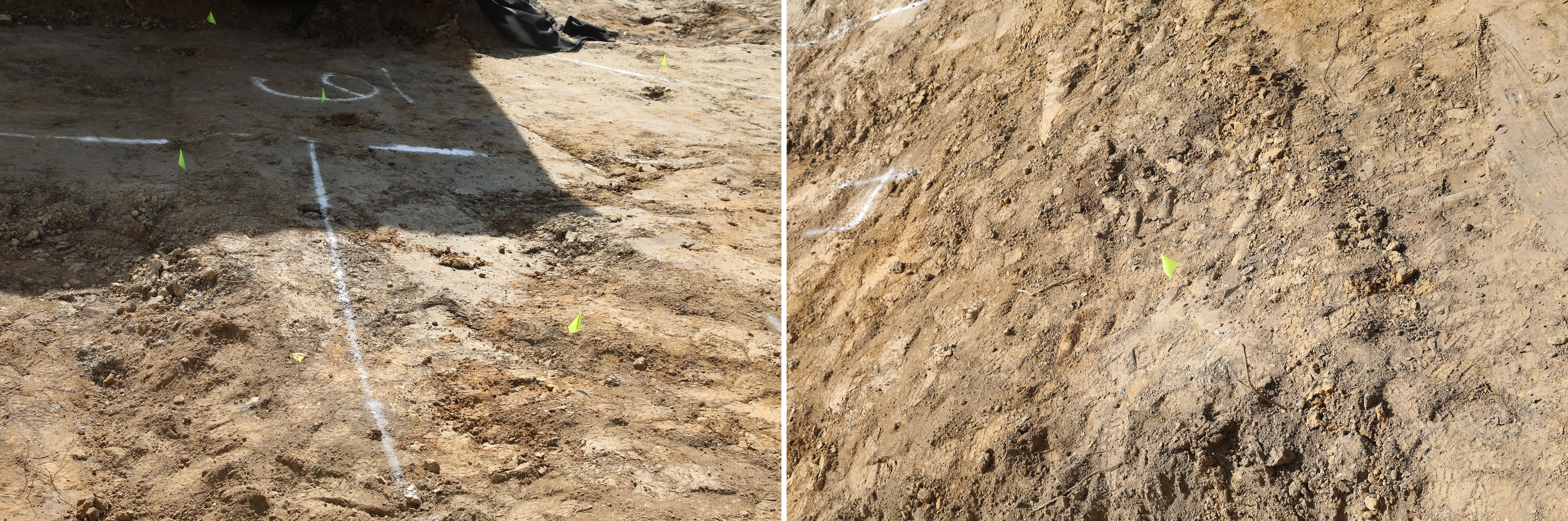 Home, Alexander Street, contaminated soil, backyard