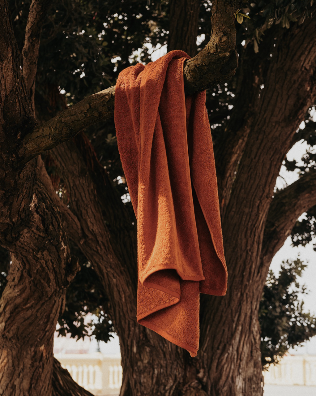 AnnassurraArt Direction