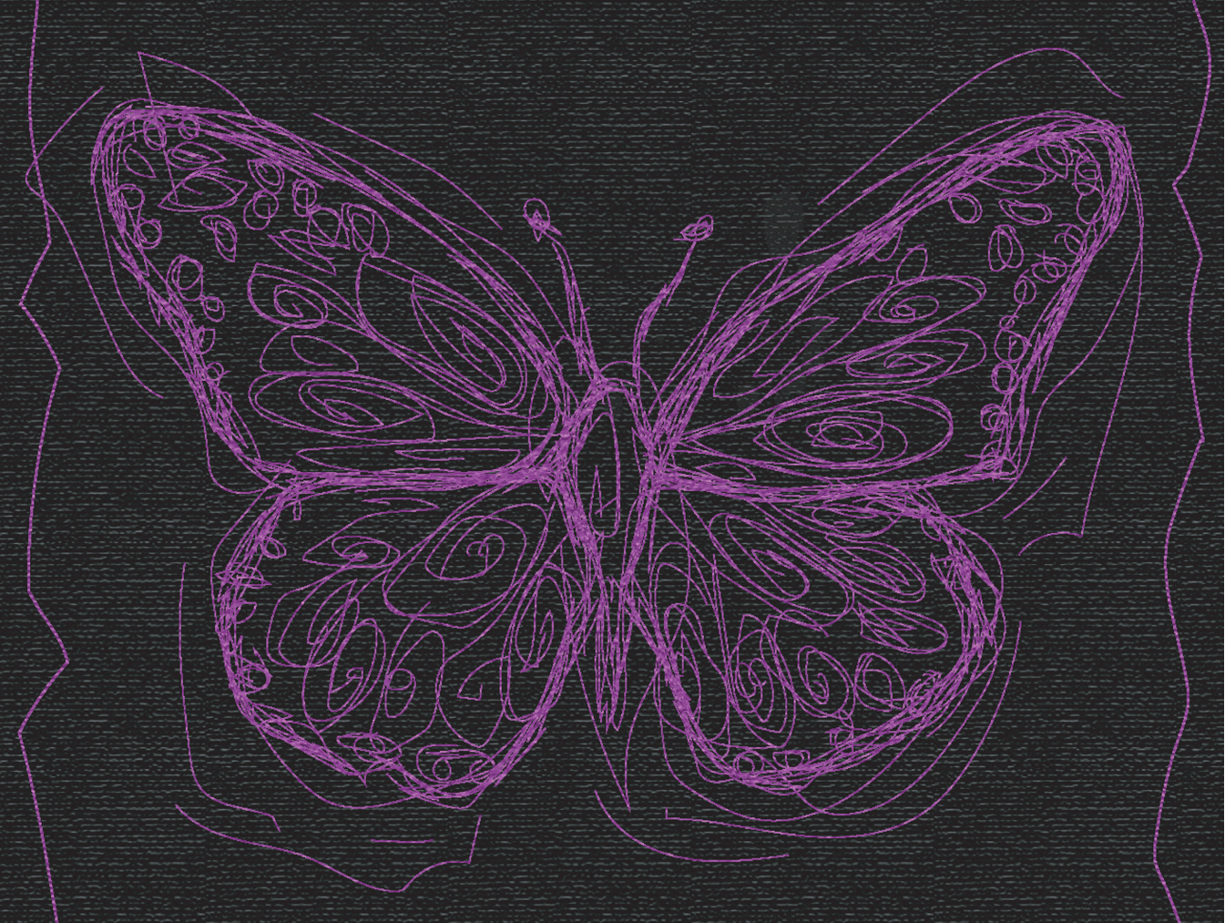 butterfly 02 | 2022 | 2d animation