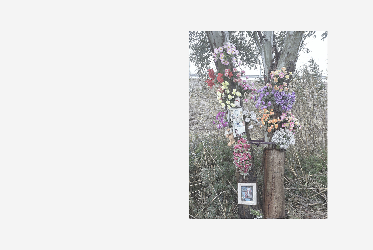 Fotografía Zyklogeneses árbol ritual muerte de coche serie  
