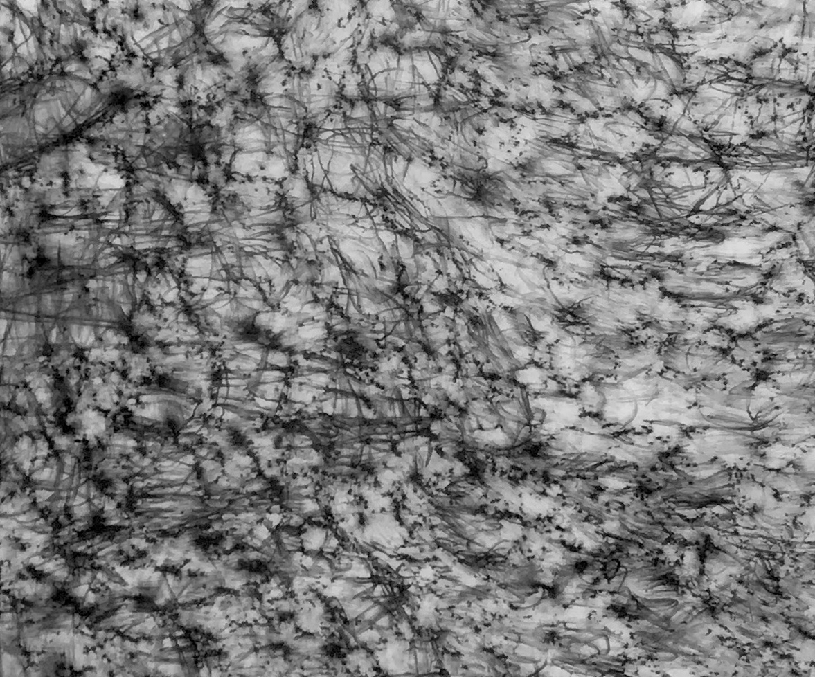 detail image, untitled (allographic translation of undocumented history, Enchanted Rock, 30.5066299° N 98.817805° W, alt. 1800 ft.) 2017, rock interview with graphite on acetate, 80 x 40 inches