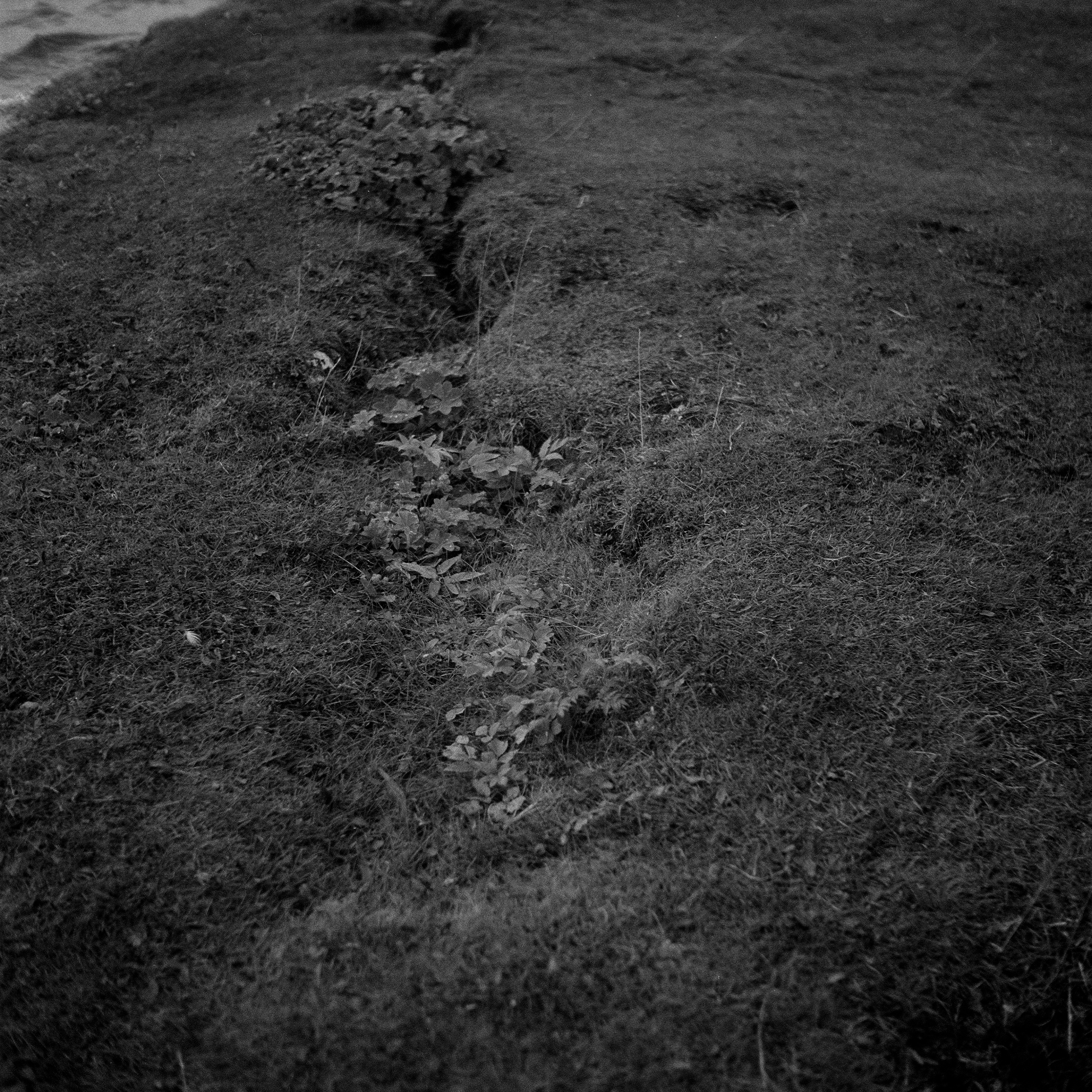 °06, 2017 : impression jet d'encre / pigment print form scanned 120mm negative, 20 x 20''