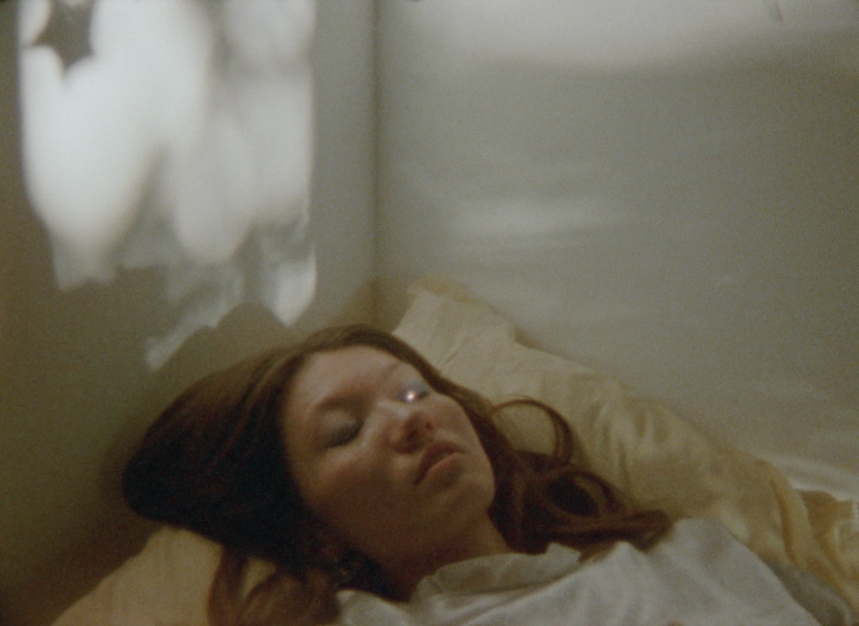 sun · Fleur Bleu·e