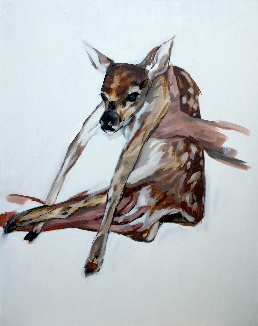 Fawn, Oil on Panel, 24 x 30 in