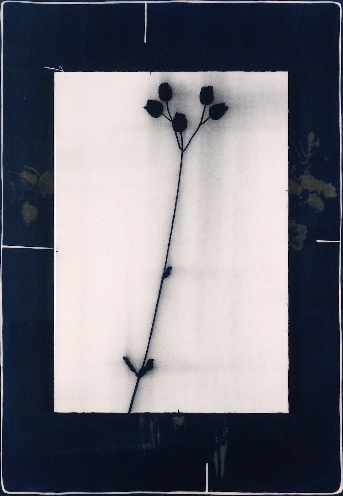 Untitled 2016, cyanotype, acrylic and epoxy resin on paper/aluminium, 36 x 25 cm, private collection