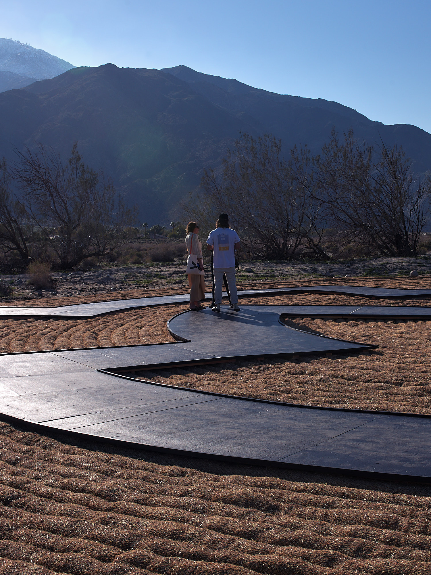 Immersion by Gerald Clarke