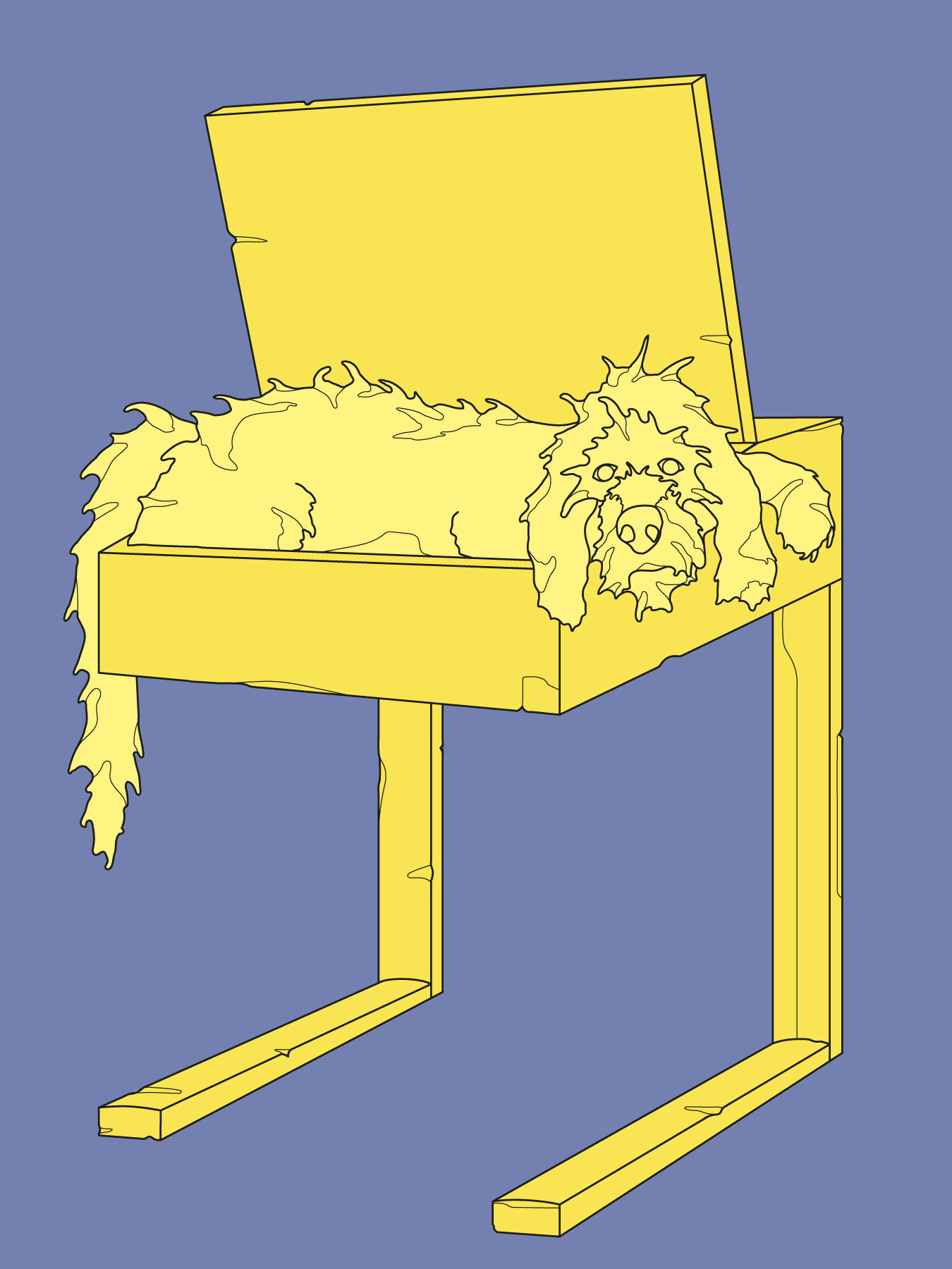 Wie Hunde die Lernatmosphäre im Klassenzimmer verbessern | How dogs improve the learning atmosphere in classrooms