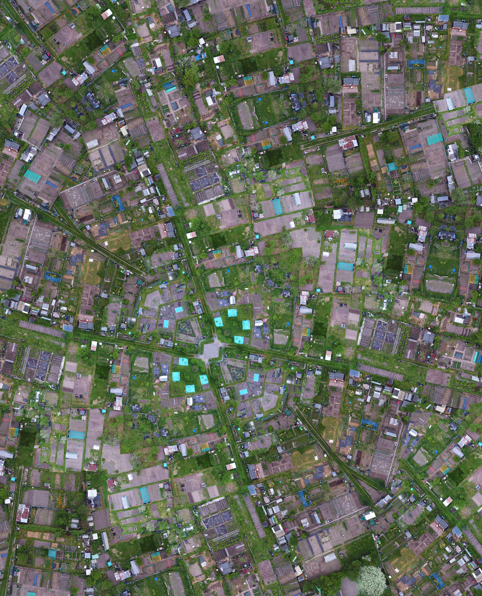 A Lot of Allotments, digital print, 115 x 94 cm