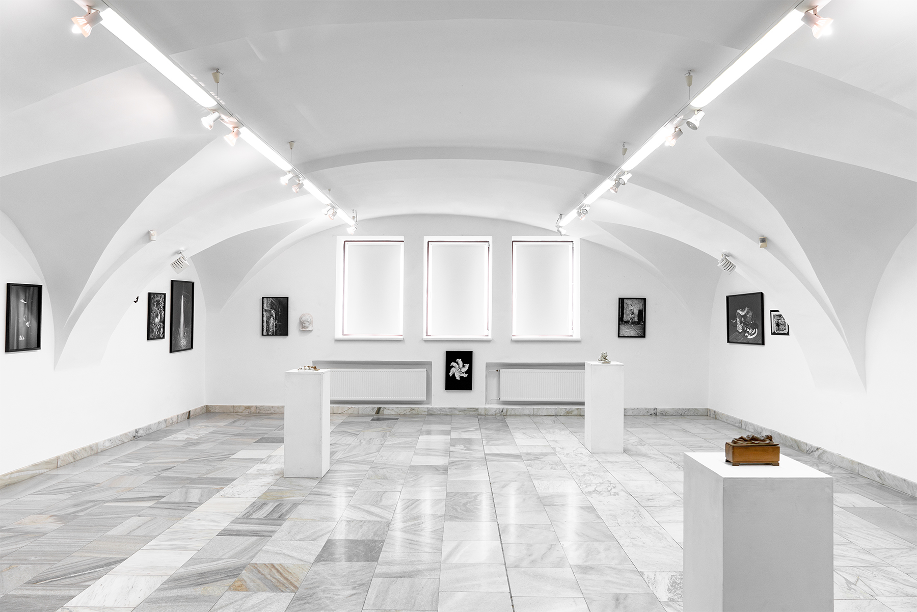 Plexus. Galerie Jiřího Jílka, Šumperk, 2025. With Eugen Ruppert, curated by Pavlína Vogelová.