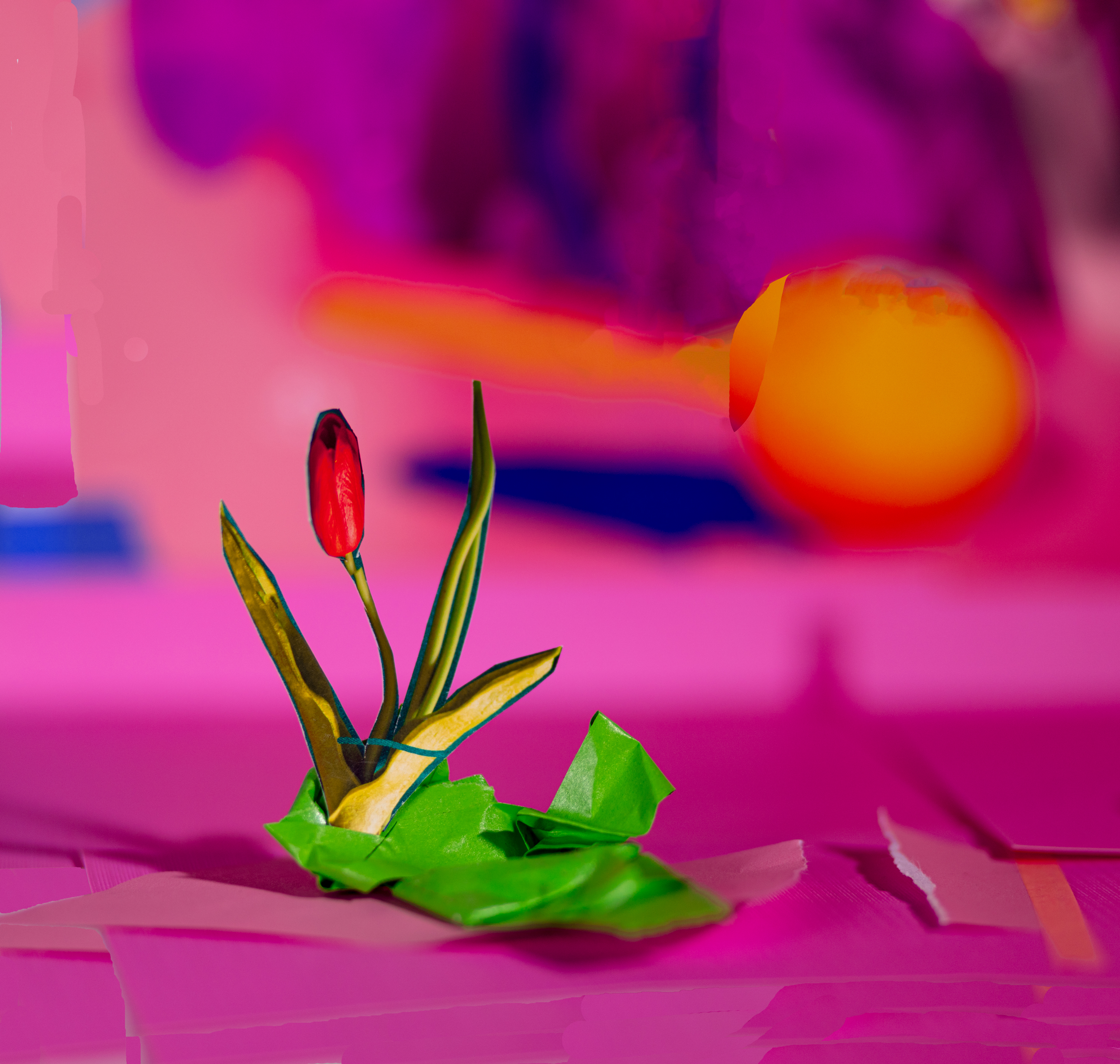 Untitled (tulip), 2021, archival pigment print, 10”x11”