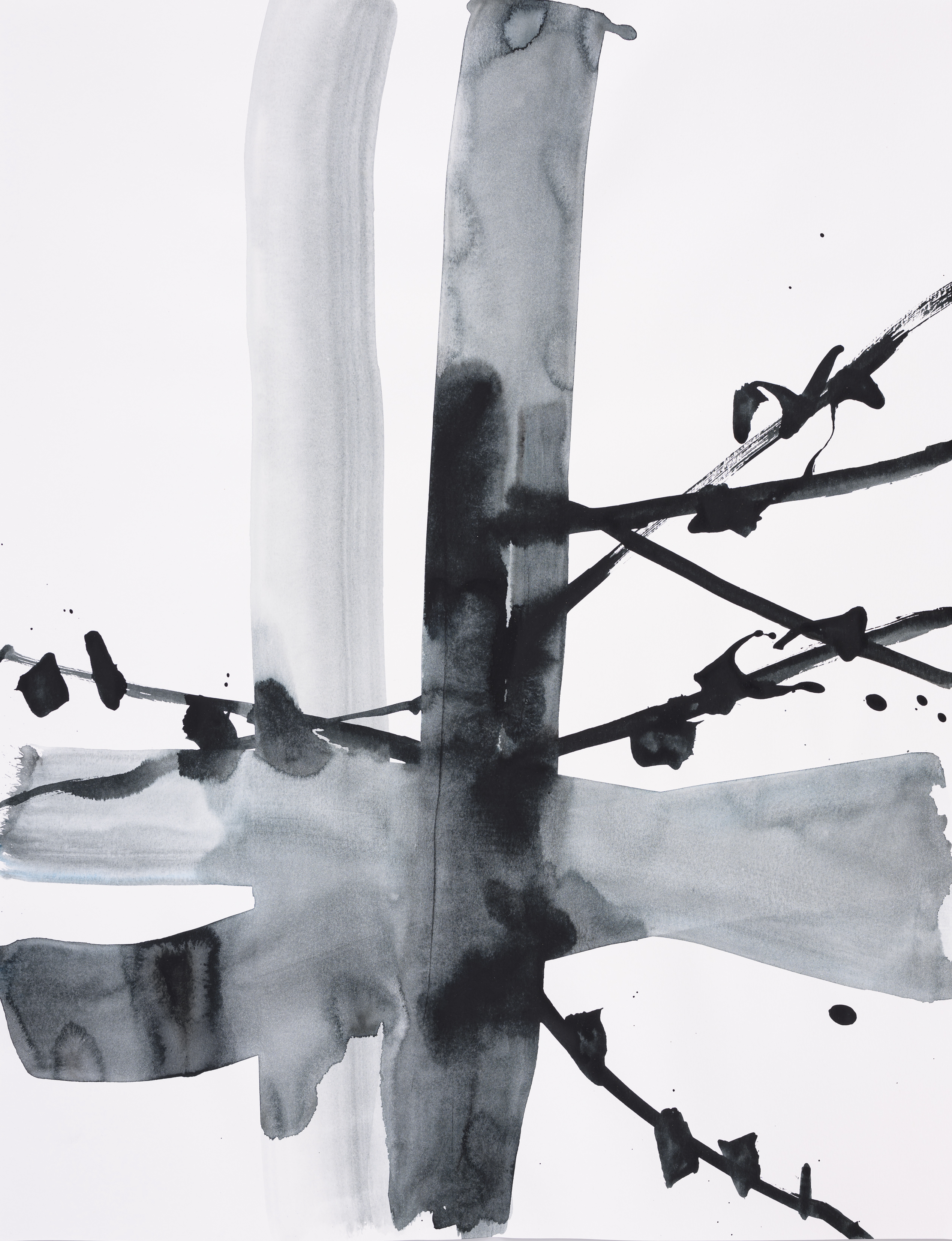 Study of nature 0051Acrylic on paper 65×50cm