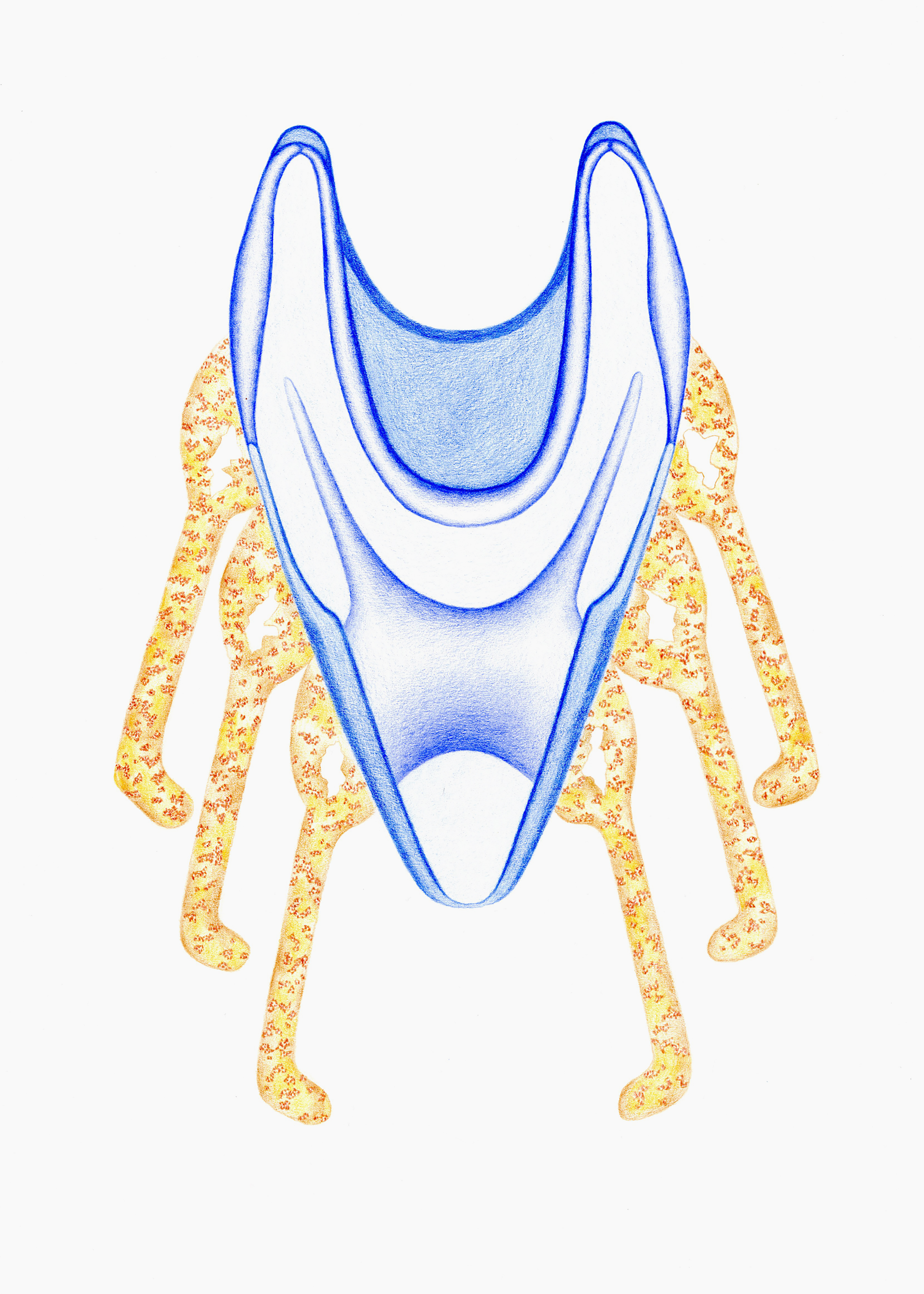 Remain / Sink, coloured pencil on paper, 30 x 42cm, 2021