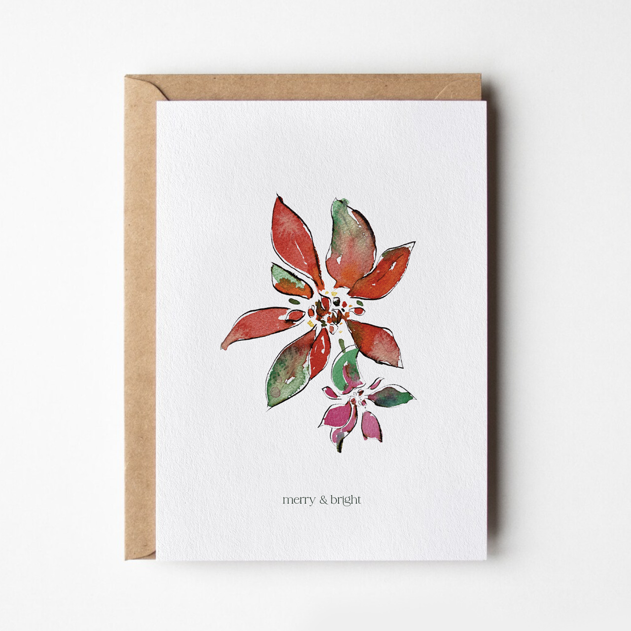 Poinsettia with pink