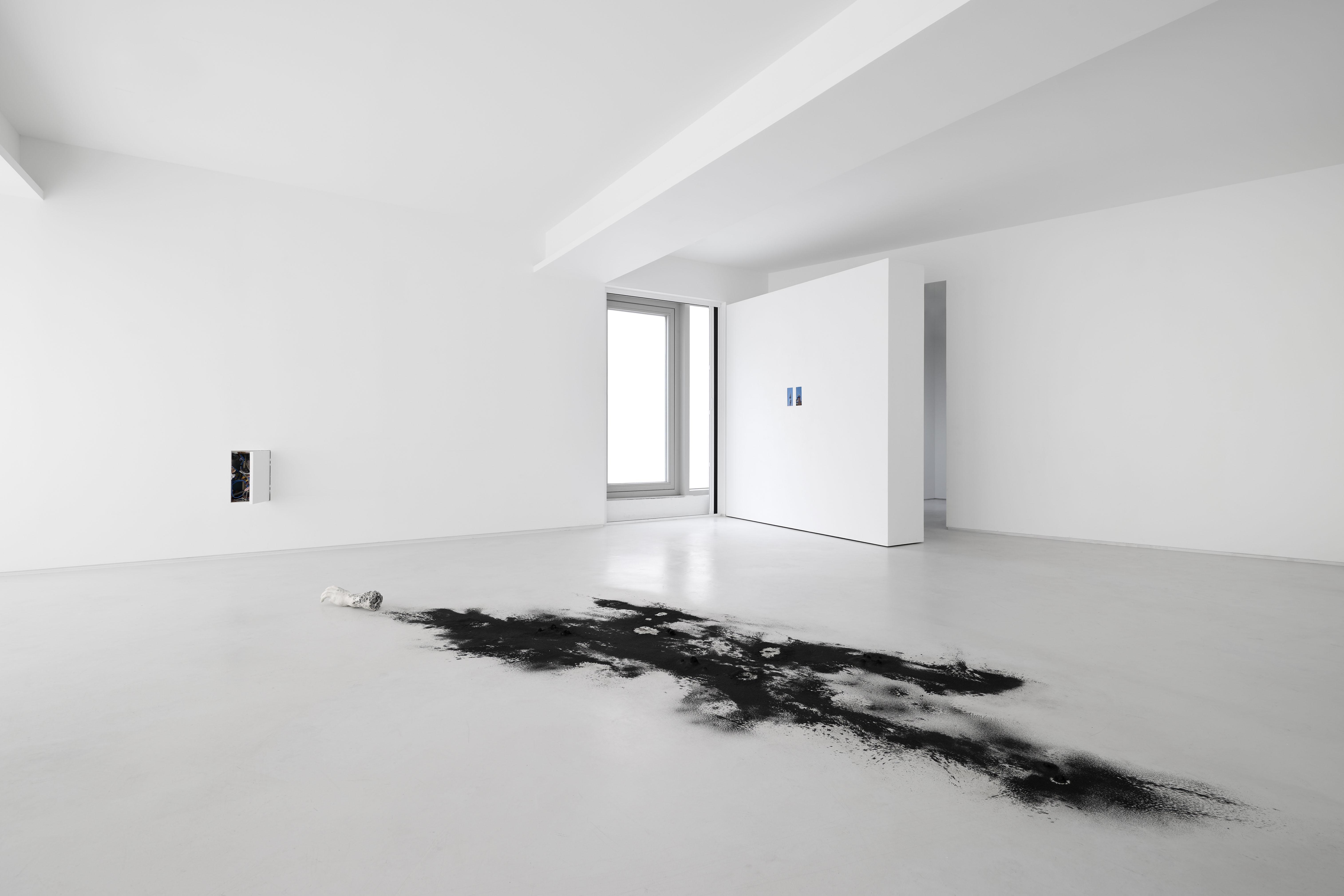 Nest in the Field, Whistle, 2025