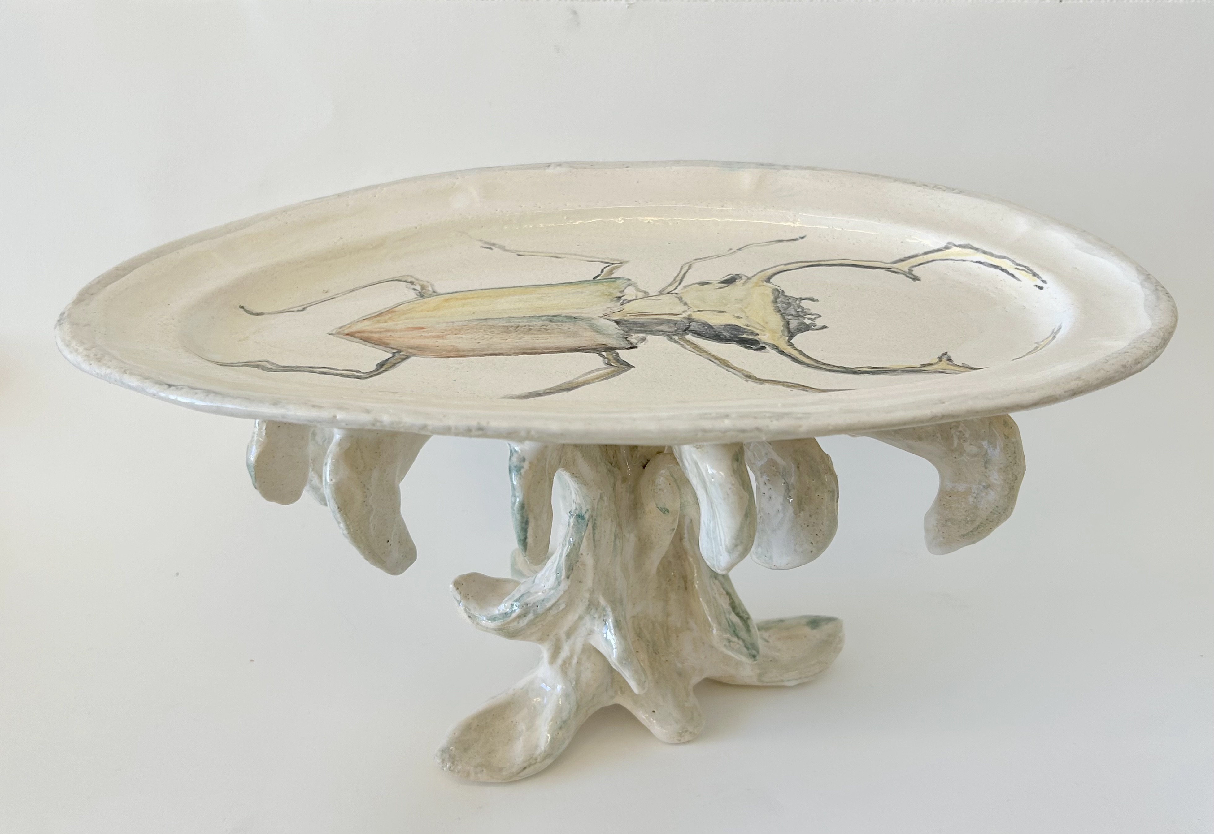 plate with insect (view 2), glazed stoneware