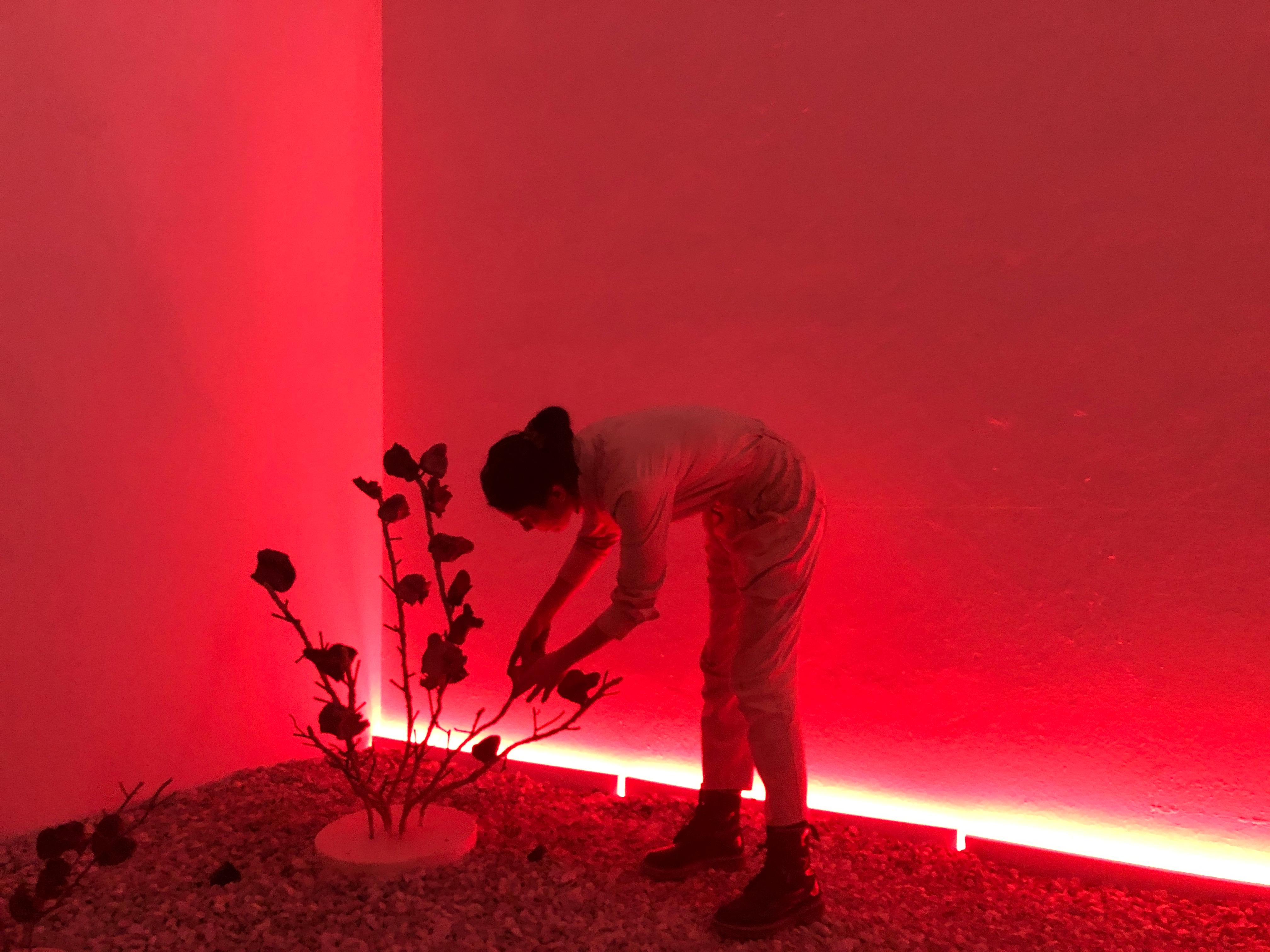  What was it that I wanted to do? Ah... it was something with a garden. The vegetation was made of clay. The leaves were different, but they shared a curious similarity. As if they had been made with a single movement. Someone was molding them from behind. It was me. I was kneading the foliage, again and again, obediently. People appeared, peeking through a bolt – you were there – while a radio grew shadows, swearing fruits of monstrous size. I remember a girl distributing bone broth while reciting a poem; a bishop moved, a daughter played a flute shaped like a pig, and her mother read stories. A piano went into a delirium, and the garden grew out of control with the mimicry of doing. Something like that