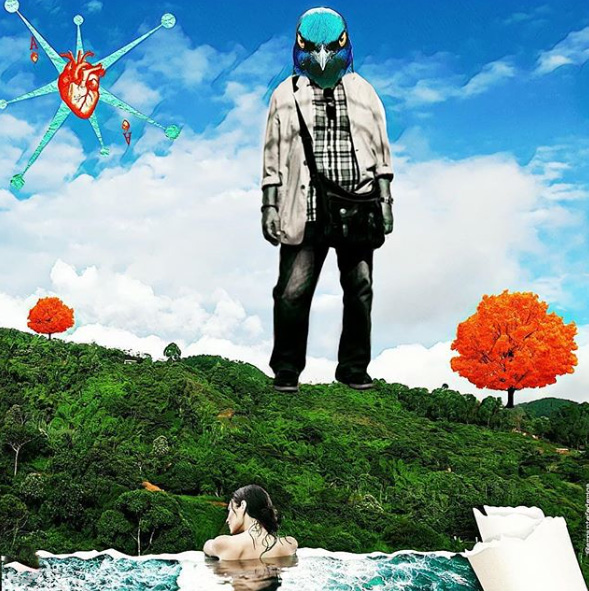 Federica Errante Calcomanías