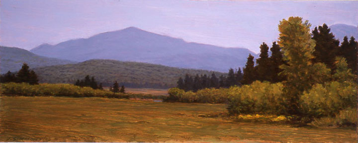 L2.5 - North Meadow, Adks.