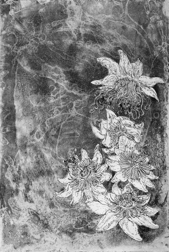  "Passion". Etching. Editions of 10. 29.7 x 42 cm