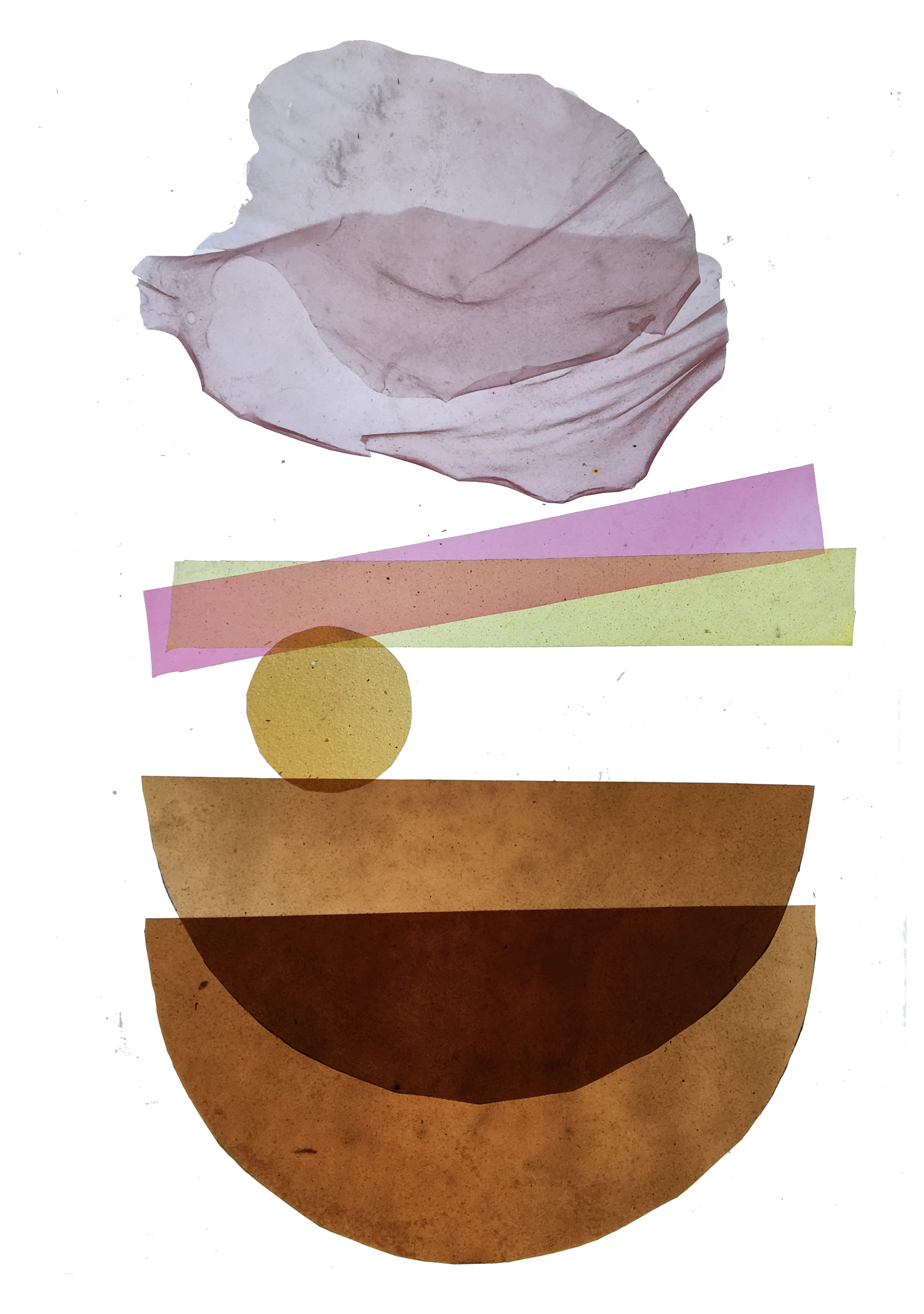 Ventana de Luz #09. Laminas de Bioplasticos y tintas vegetales (curcuma, hierba de san juan, flor de jamaica, maqui, cochinilla)  Cajas de luz,  retro iluminadas de madera. 30 cm x 42. Valor: 300.000