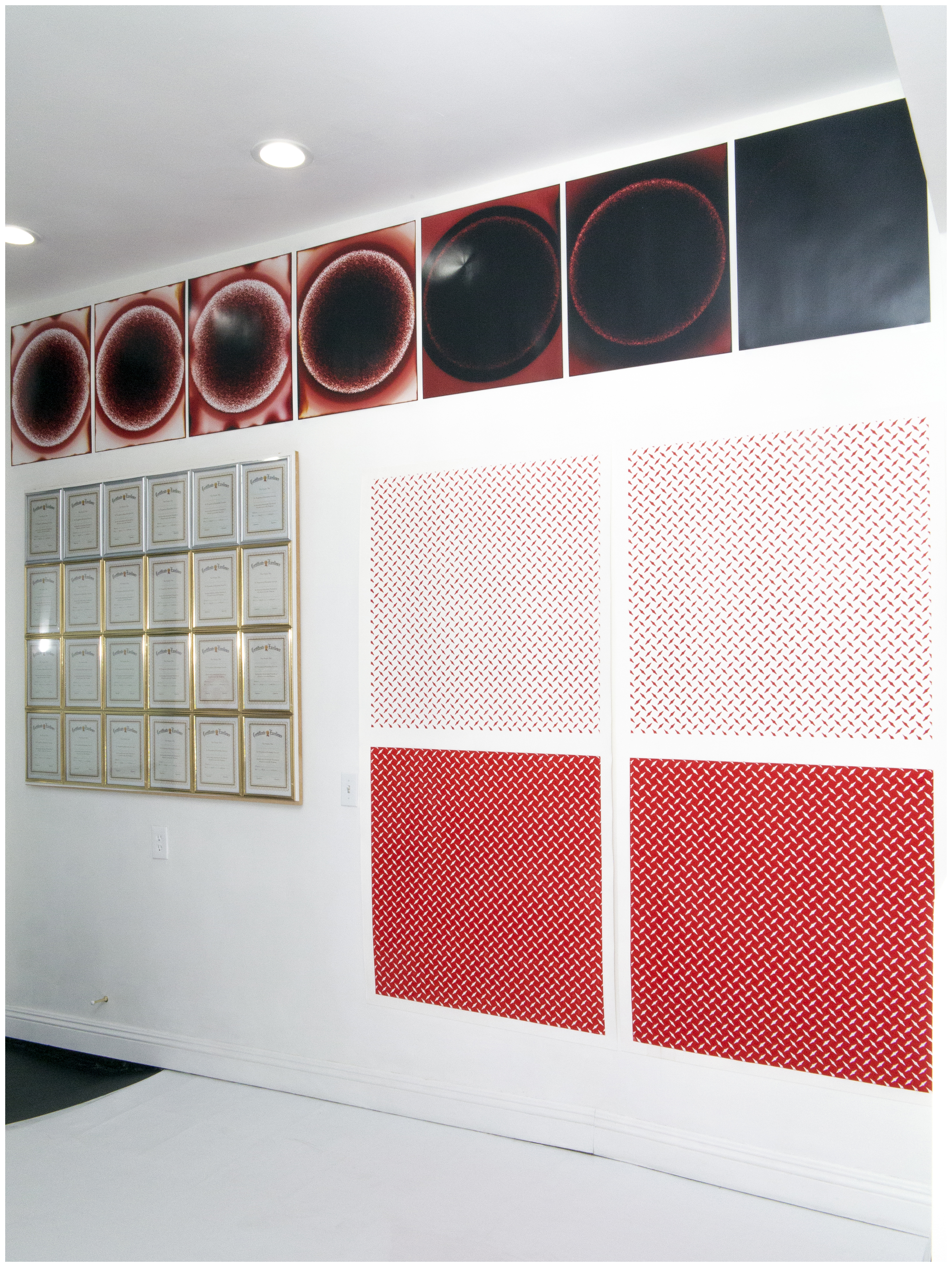 Filipelli - Los Angeles, CA (installation view #19), 2019