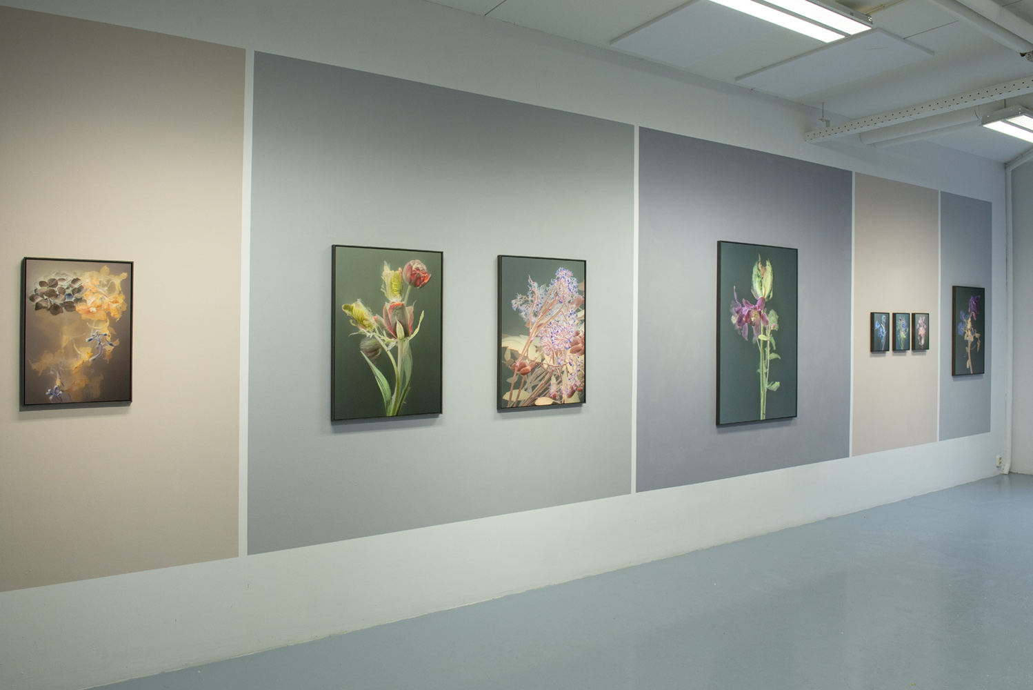 Solo "Florilegium" Artist First! Amsterdam 2018