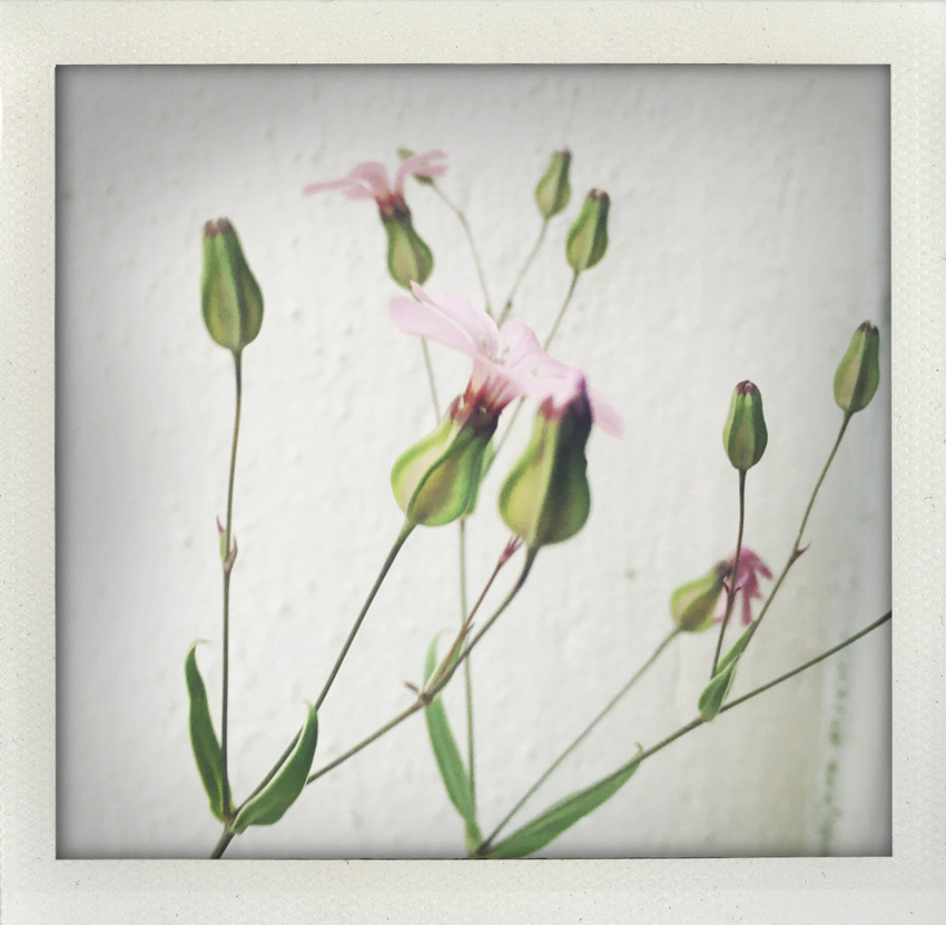 20 Avril 2020 Discret