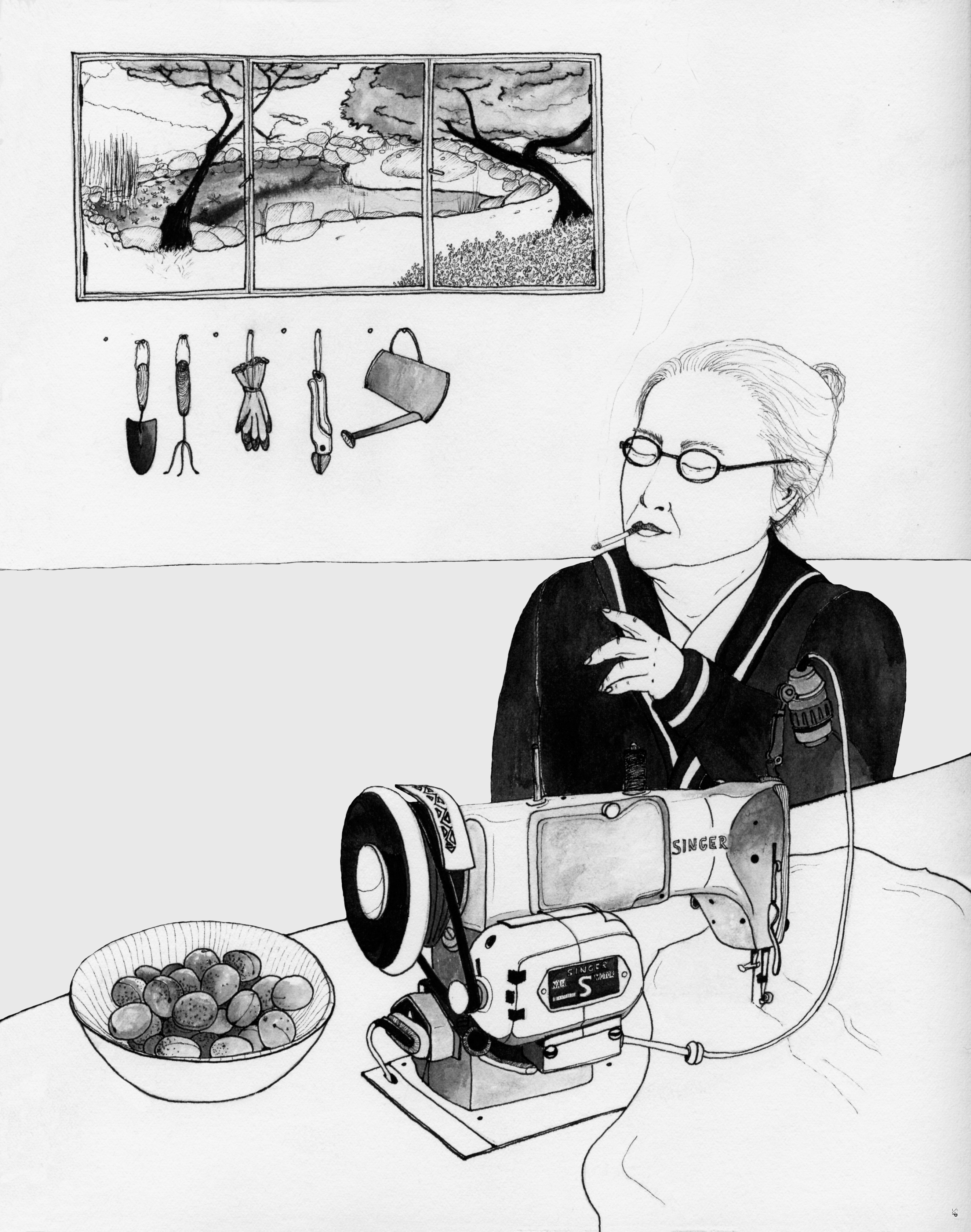 2017, editorial commision